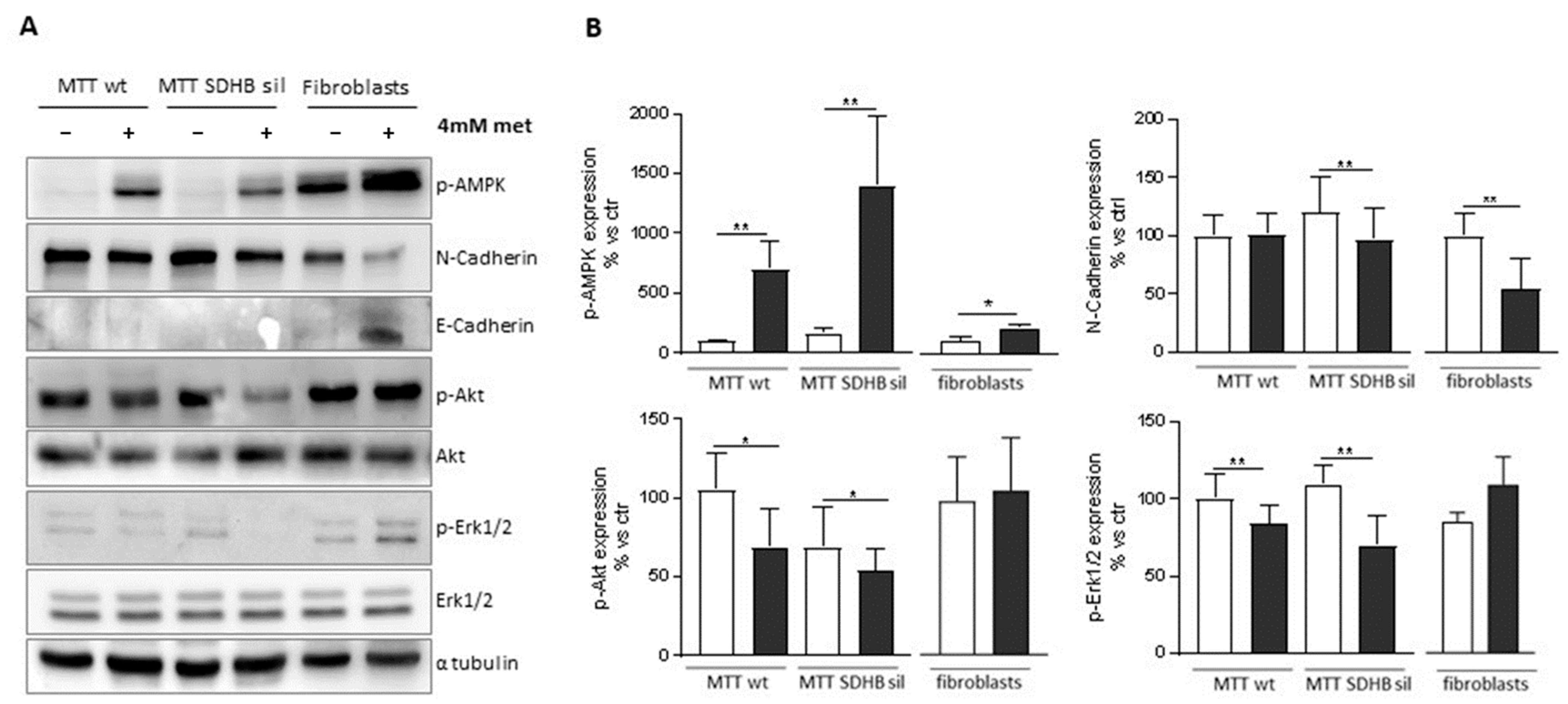 Cancers 14 03471 g007