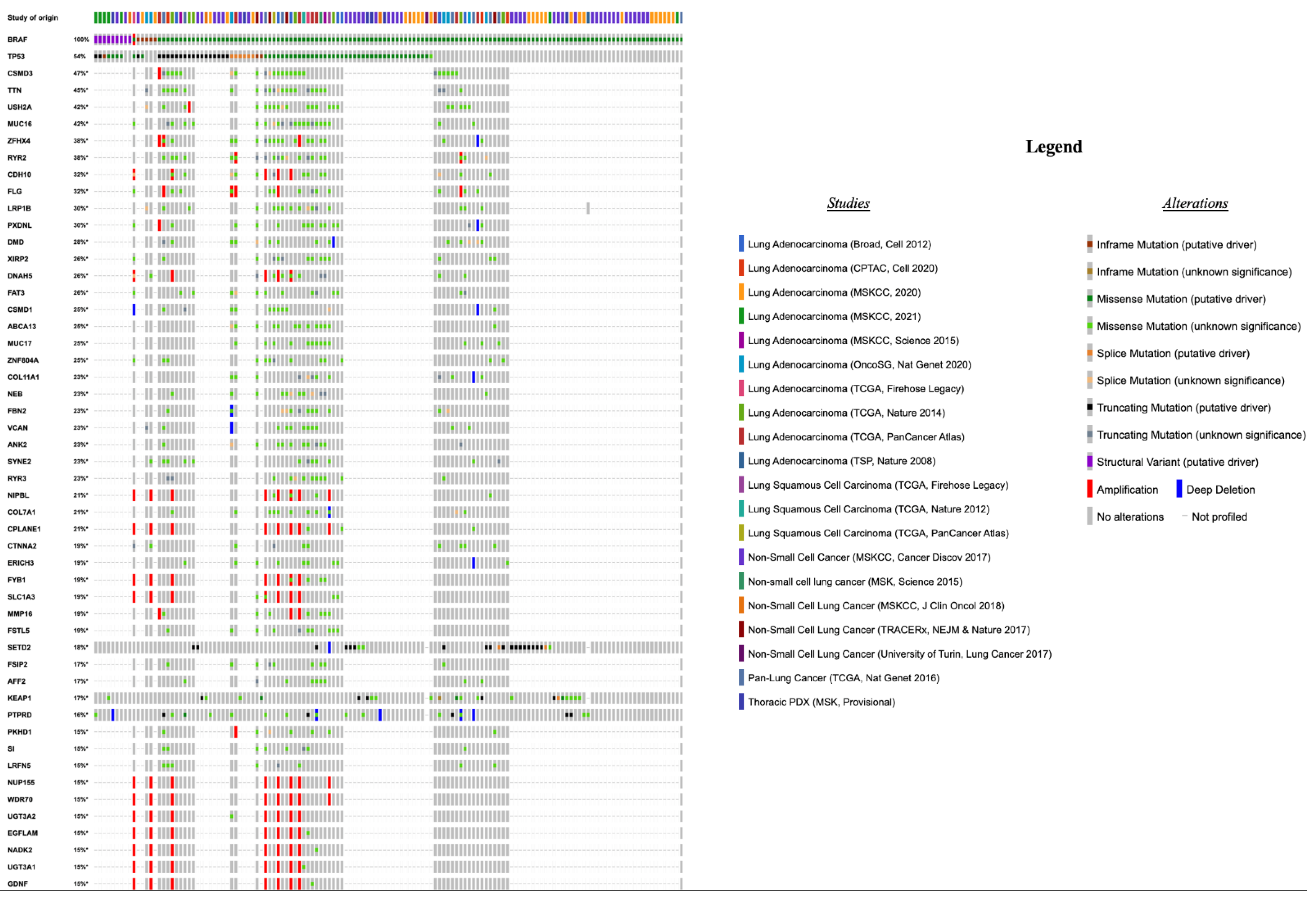 Cancers 14 03472 g003