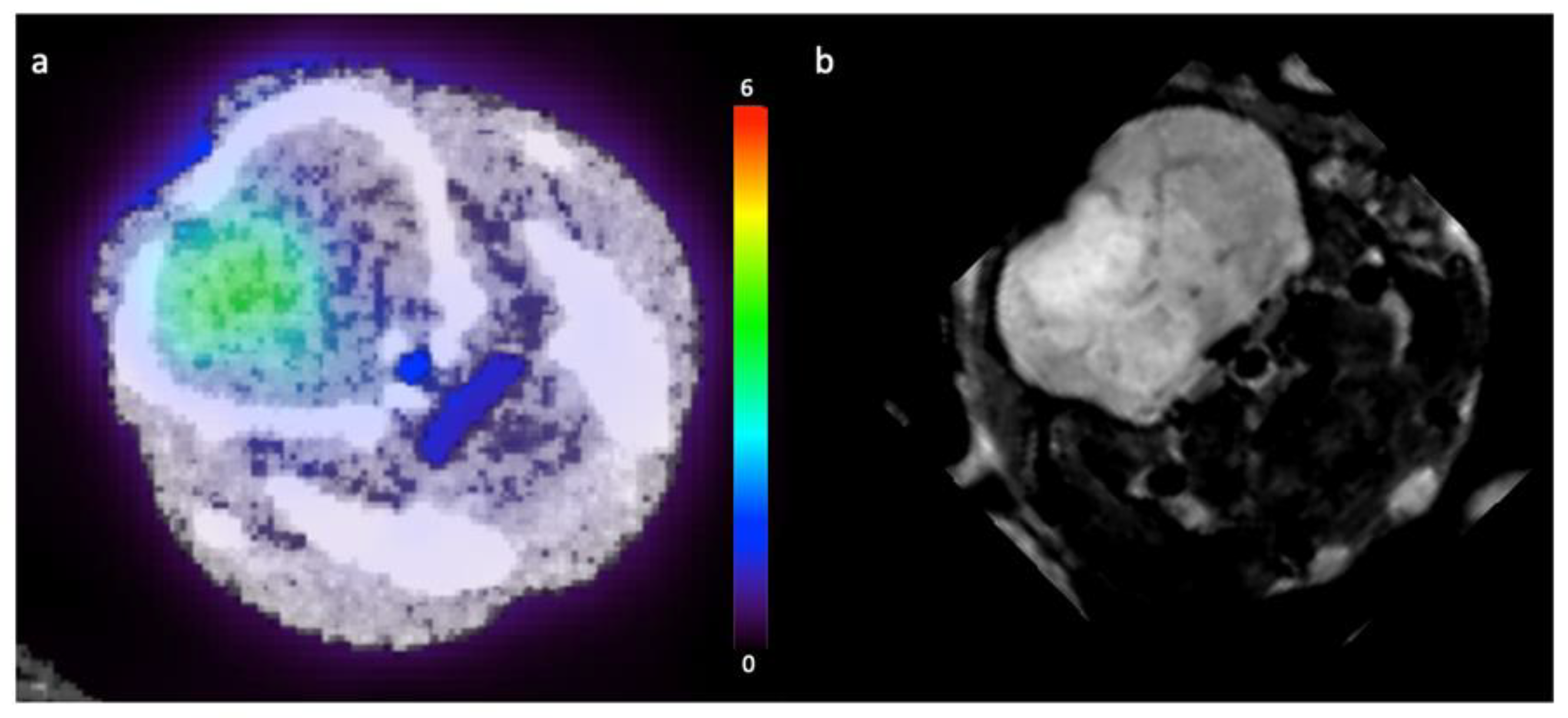 Cancers 14 03485 g005 550