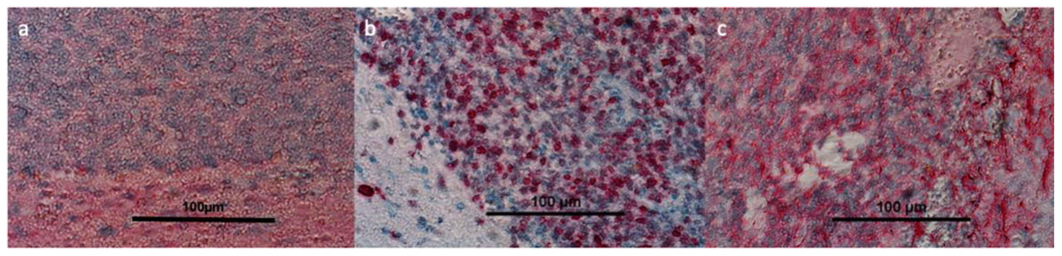 Cancers 14 03485 g006 550