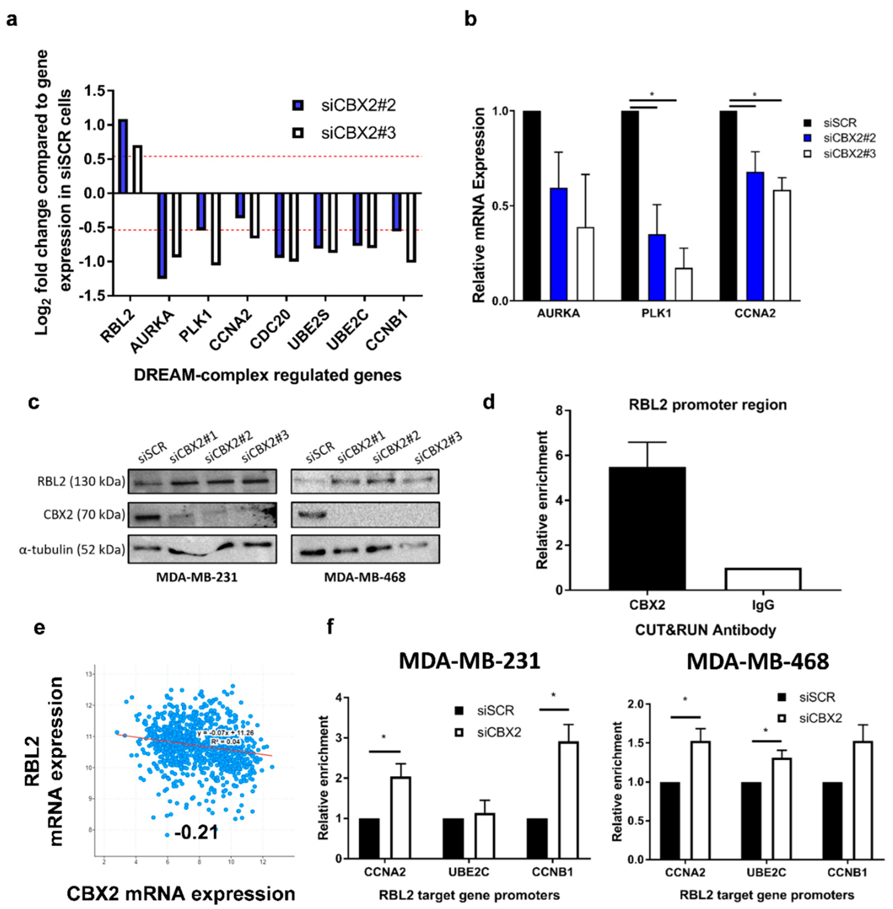 Cancers 14 03491 g003