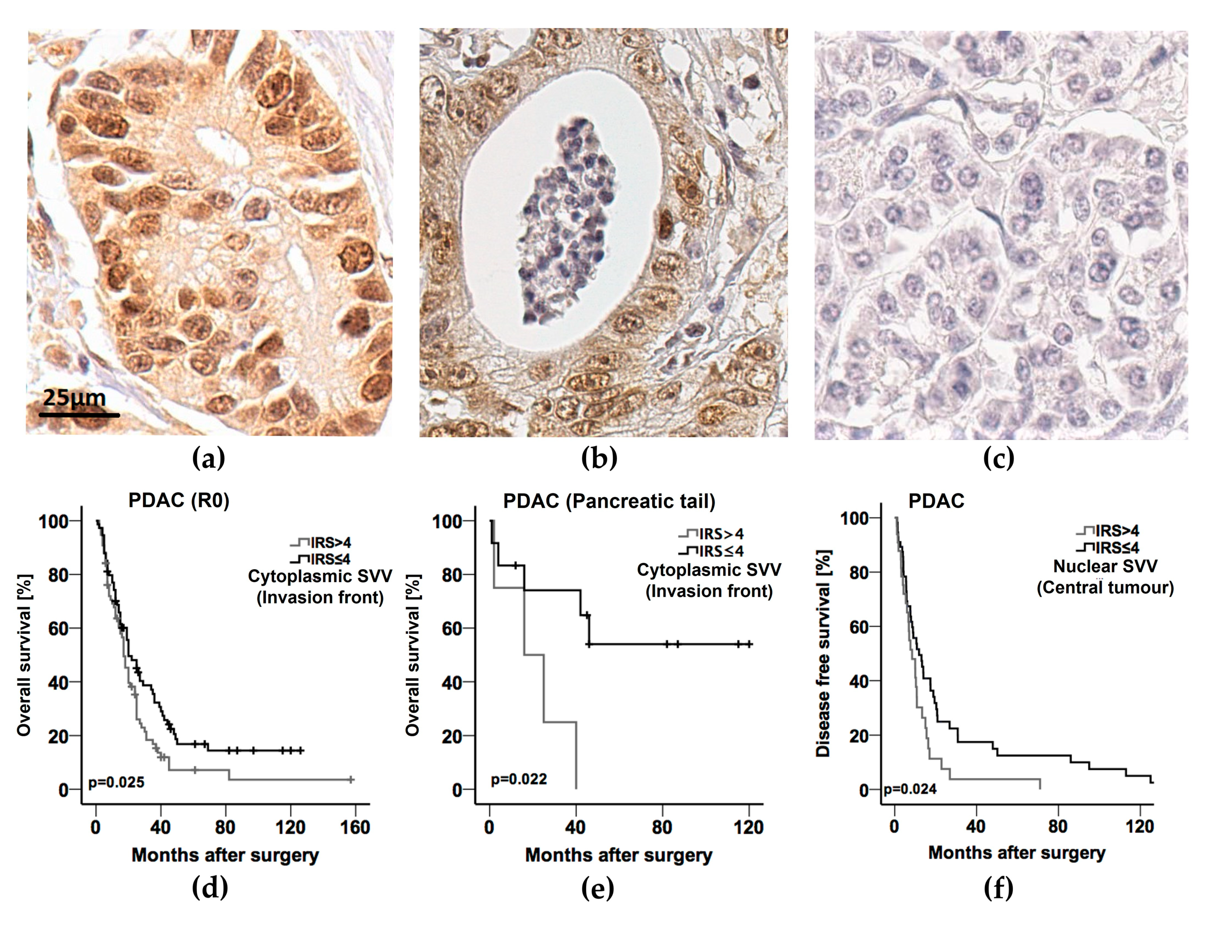 Cancers 14 03494 g002 Cancers 14 03494 g002