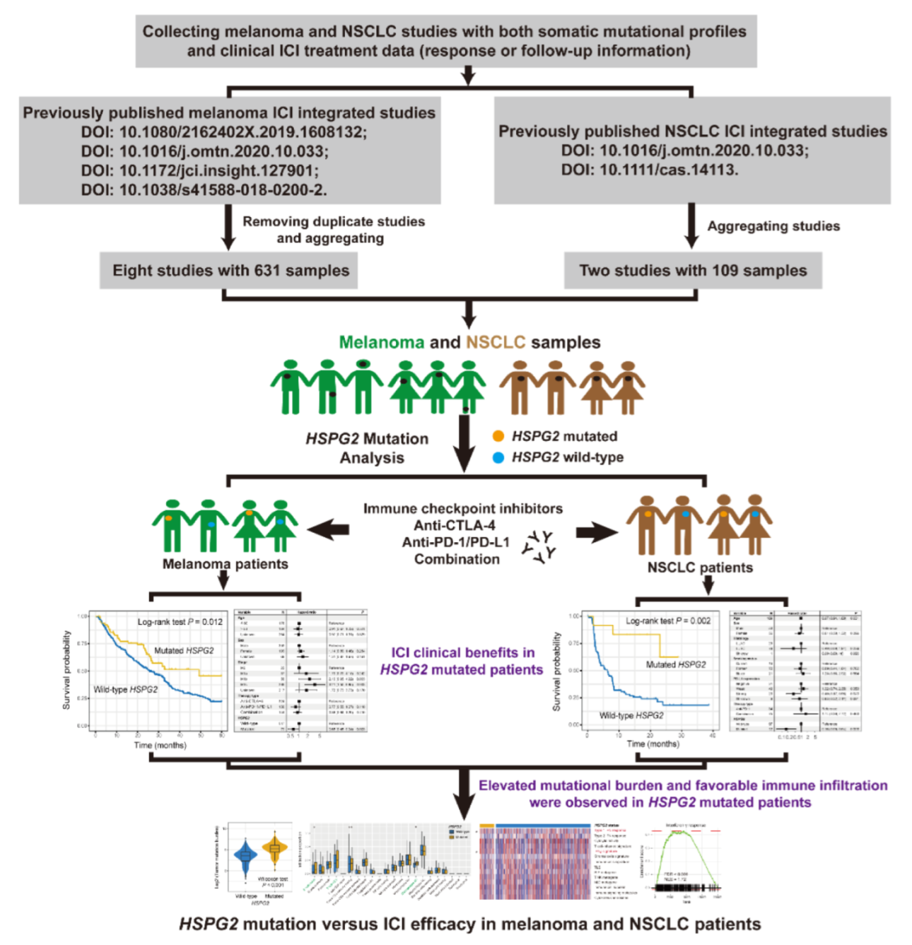 Cancers 14 03495 g001 550