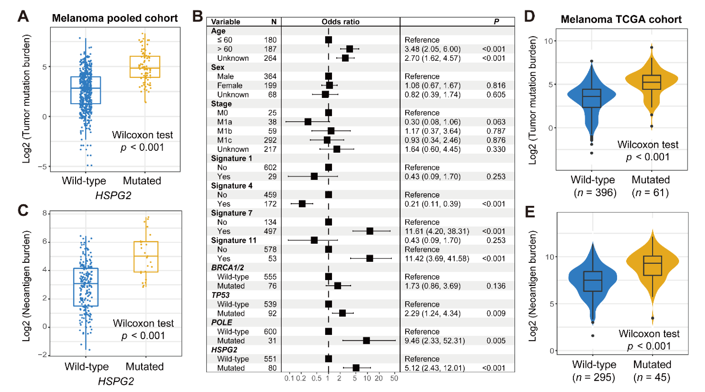 【年間ランキング6年連続受賞】 HSPG2 Inhibitor Checkpoint Immune with Association Mutation 弦楽器