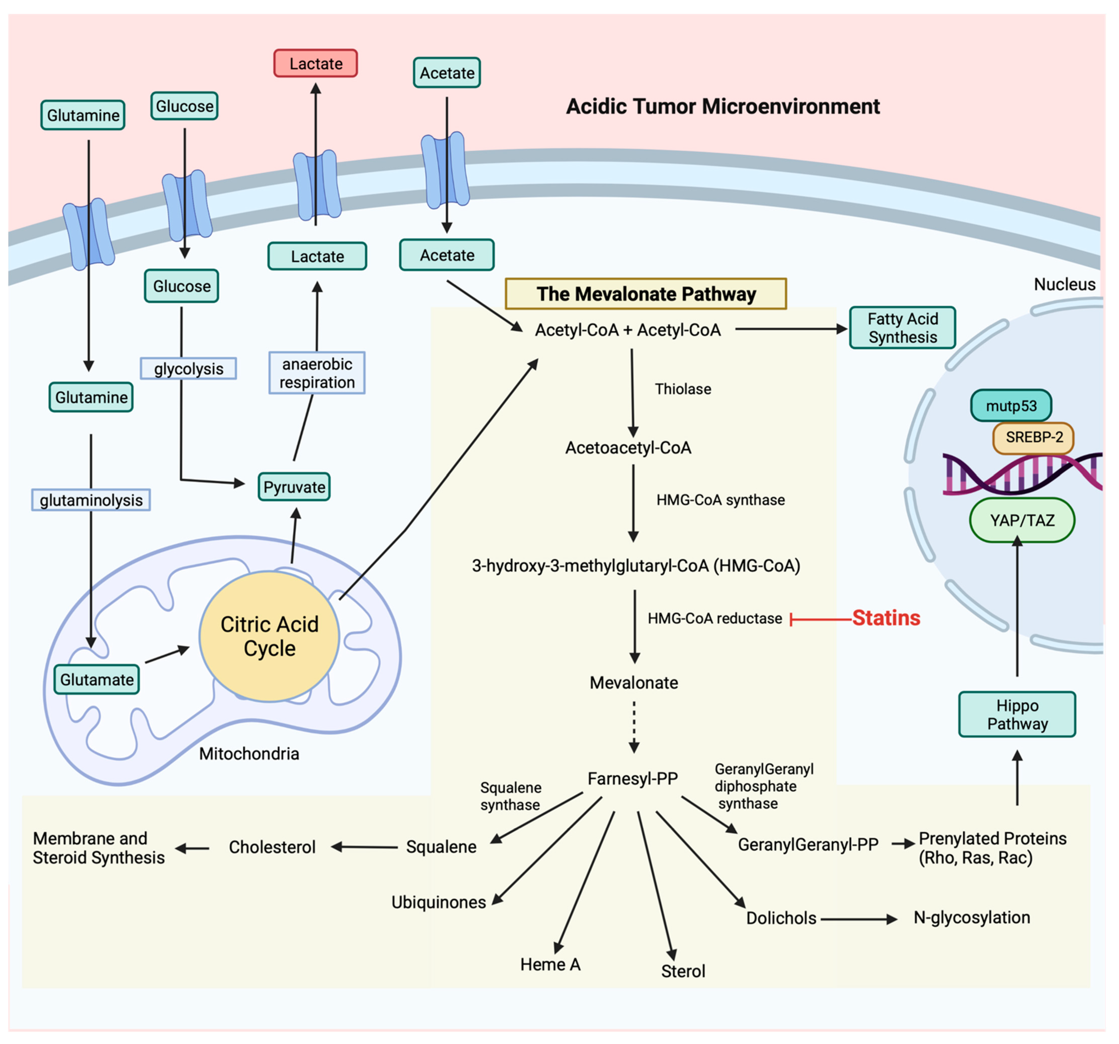 Cancers 14 03500 g002 Cancers 14 03500 g002