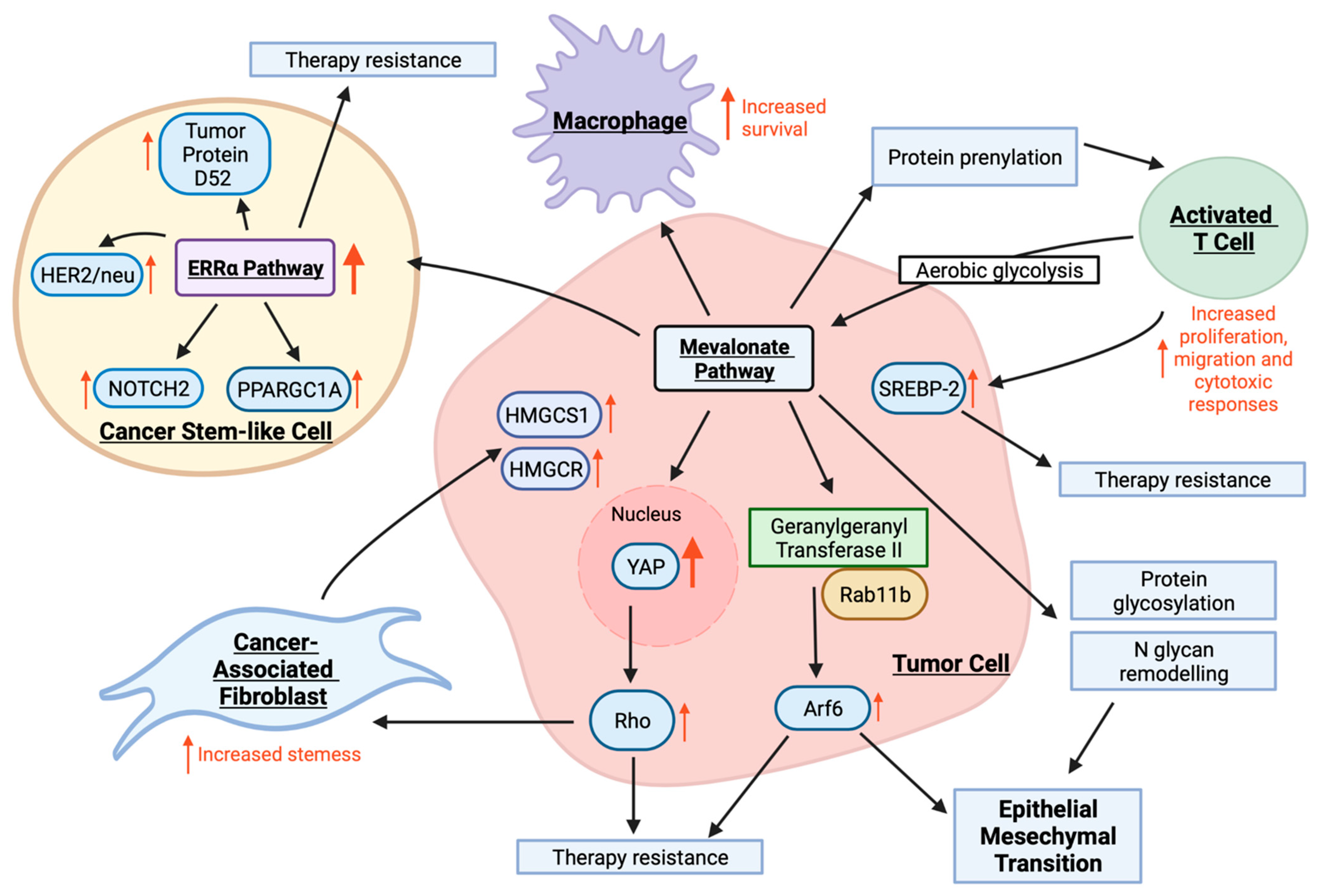 Cancers 14 03500 g003 Cancers 14 03500 g003