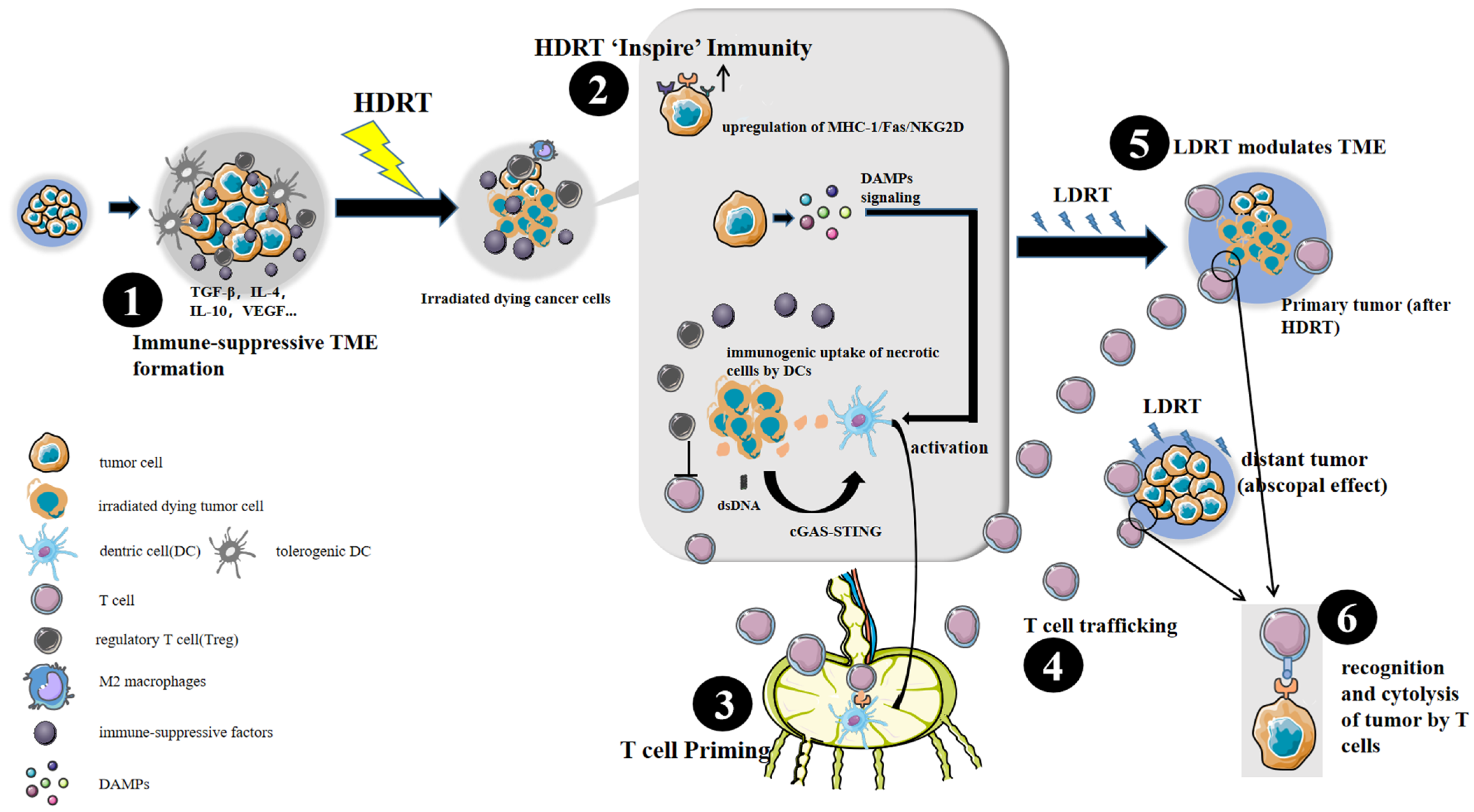 Cancers 14 03505 g001