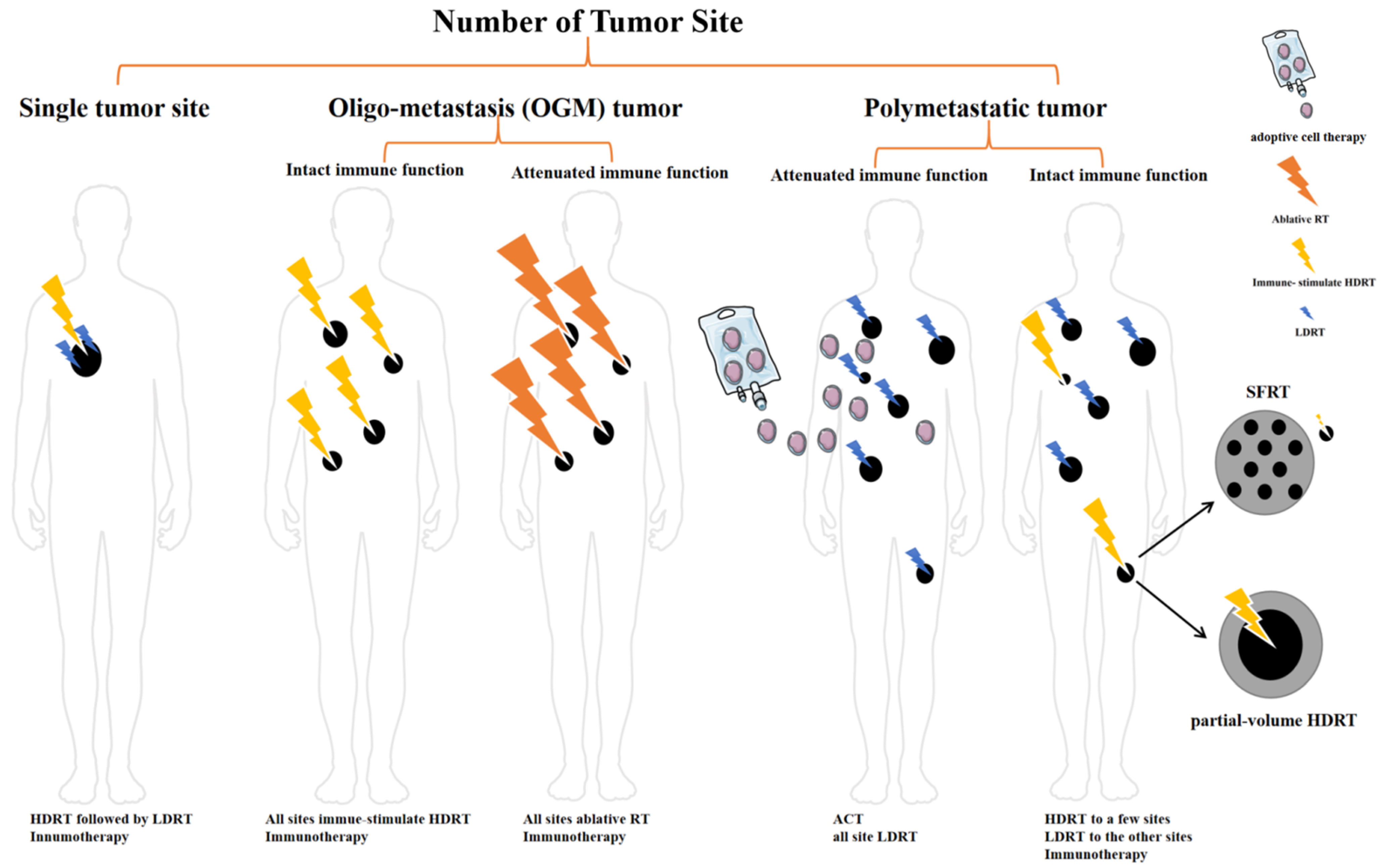 A ‘Hybrid’ Radiotherapy Regimen Designed for Immunomodulation ...