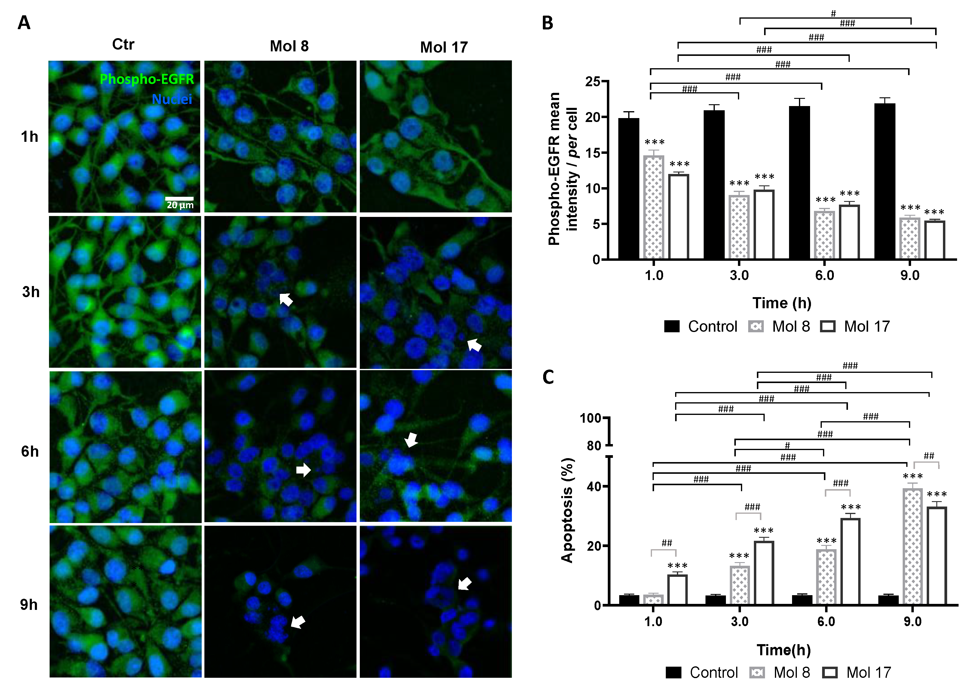 Cancers 14 03506 g006 550