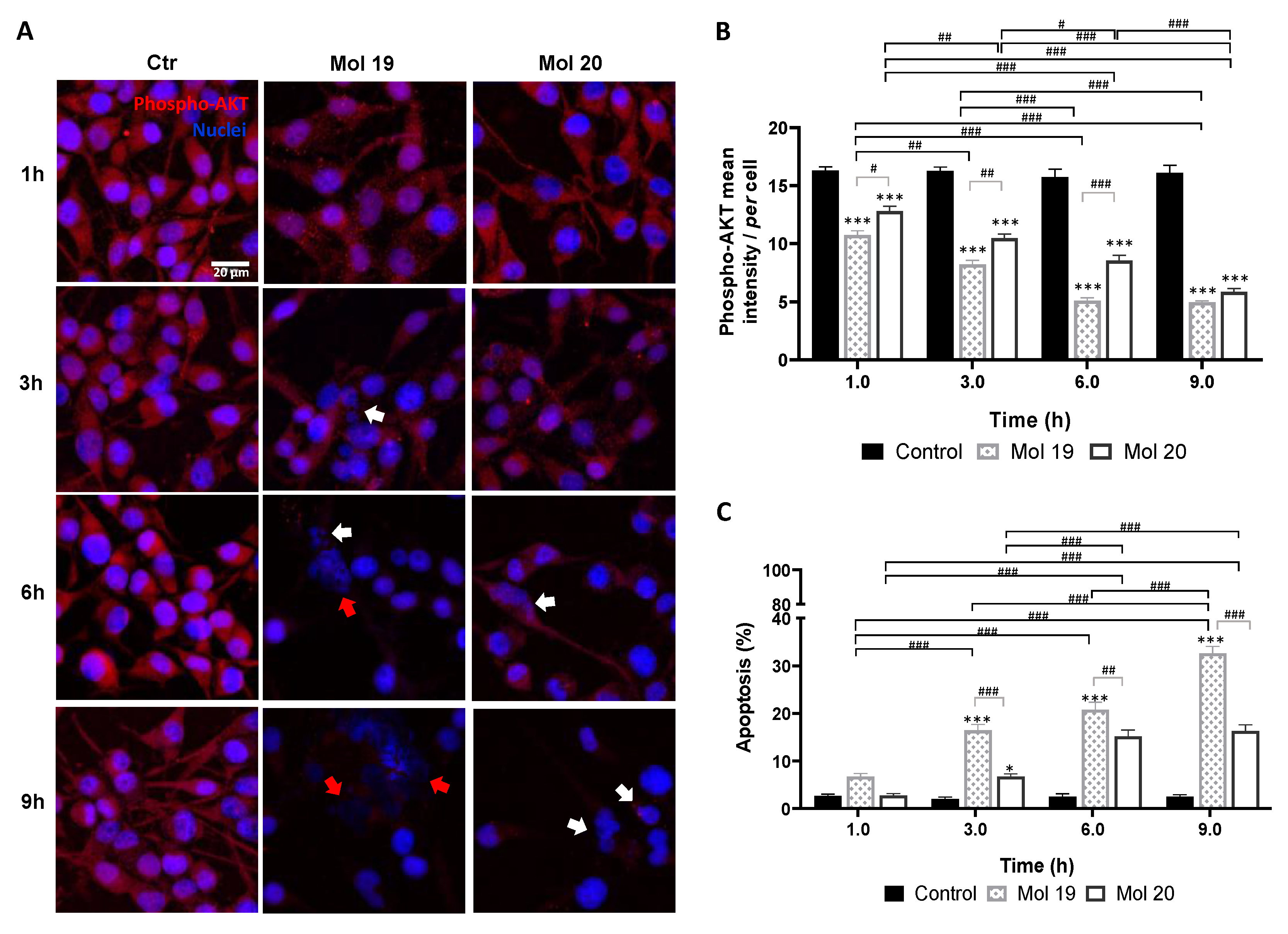 Cancers 14 03506 g007 550