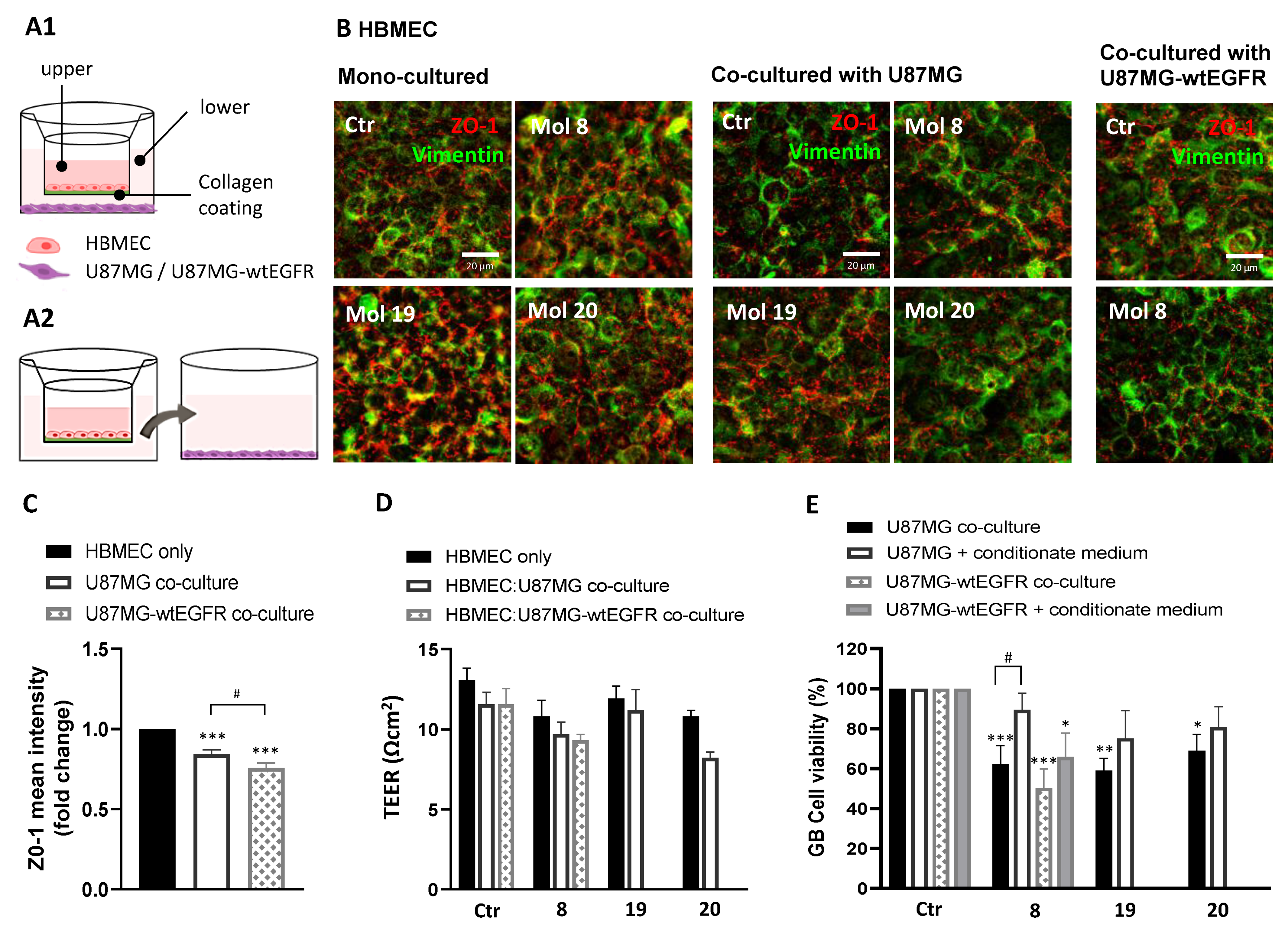Cancers 14 03506 g011 550