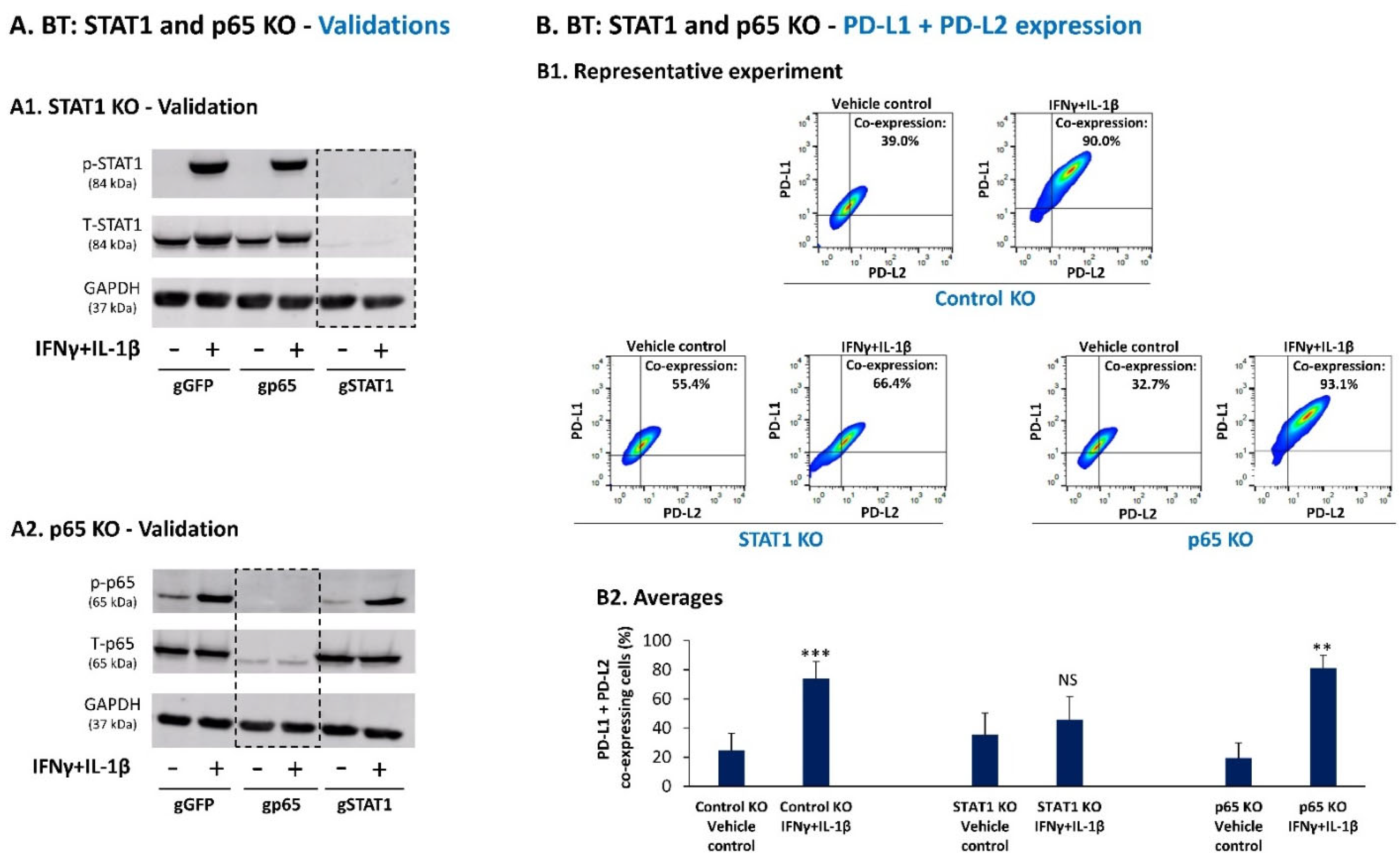 Cancers 14 03513 g005 Cancers 14 03513 g005