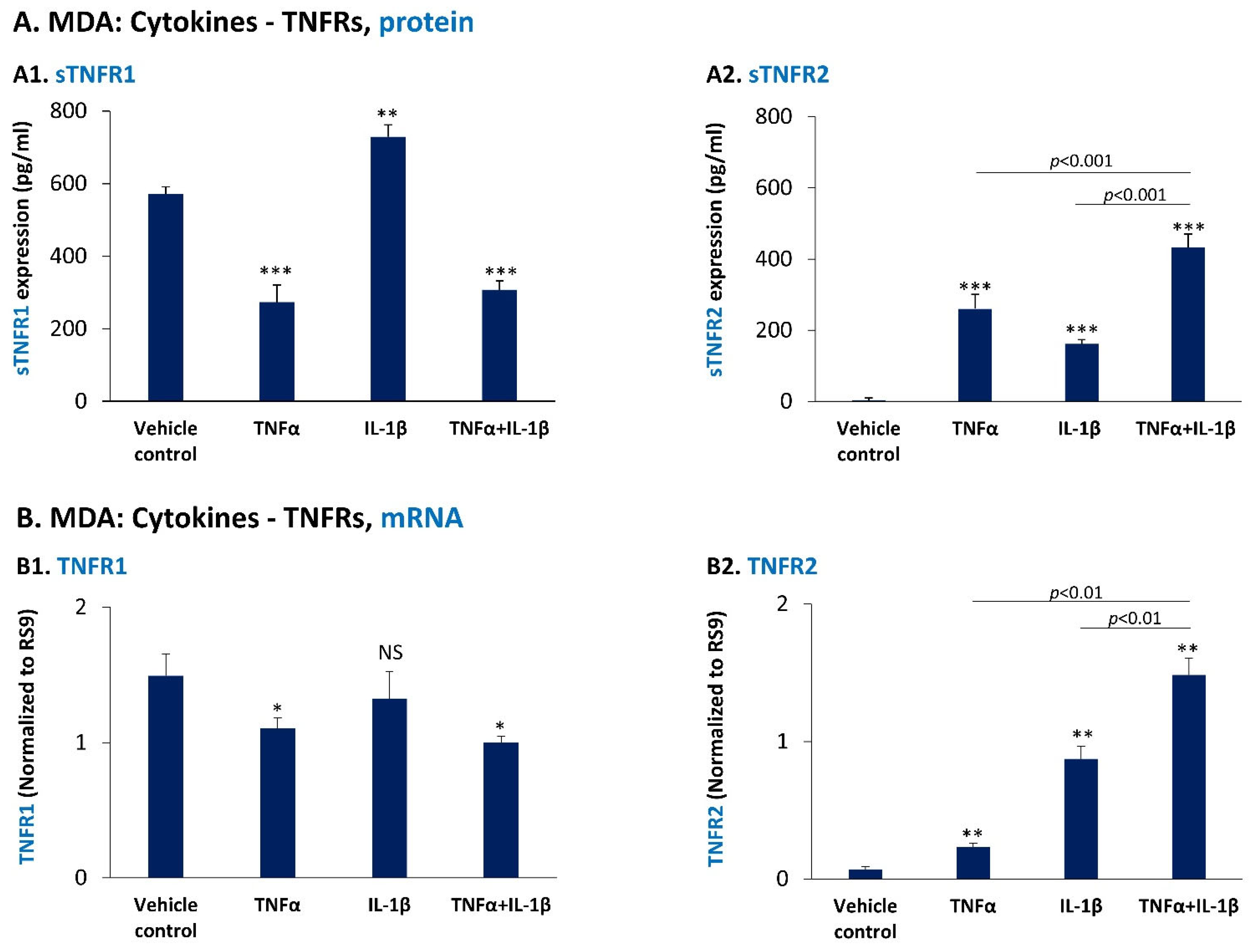 Cancers 14 03513 g007 Cancers 14 03513 g007