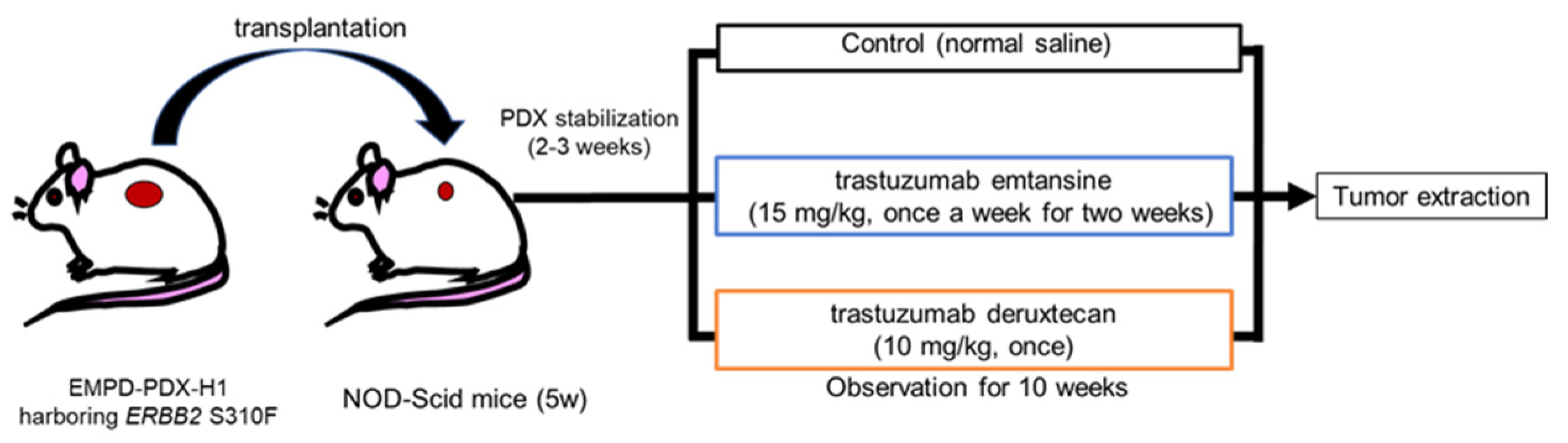 Cancers 14 03519 g001 Cancers 14 03519 g001