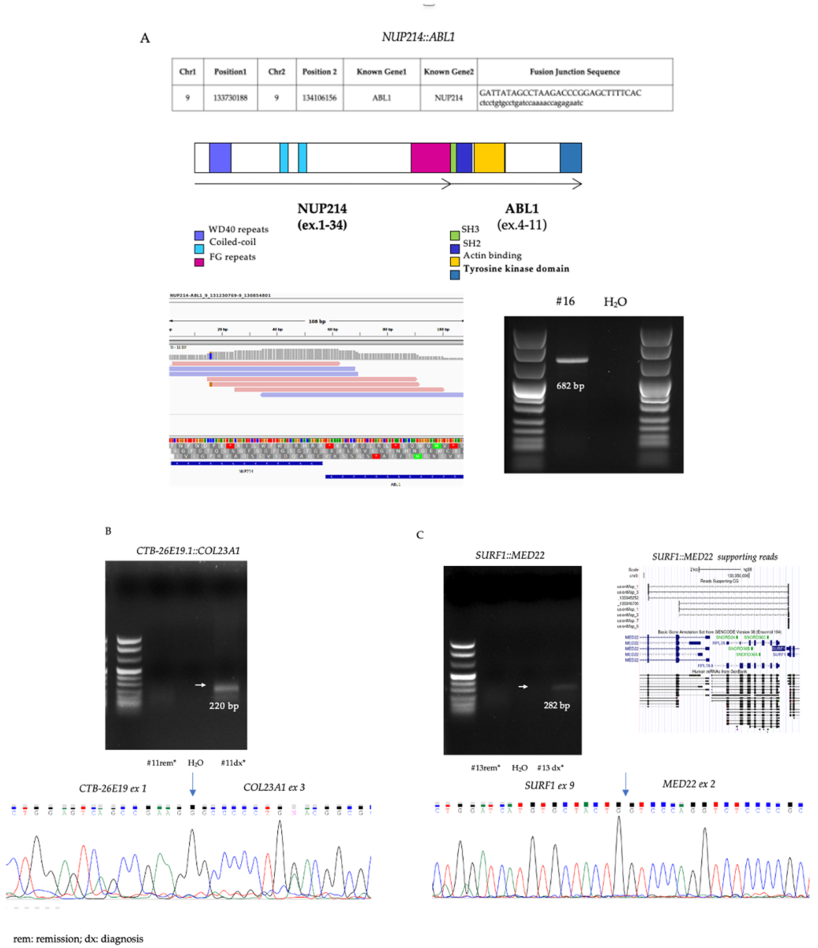 Cancers 14 03523 g002