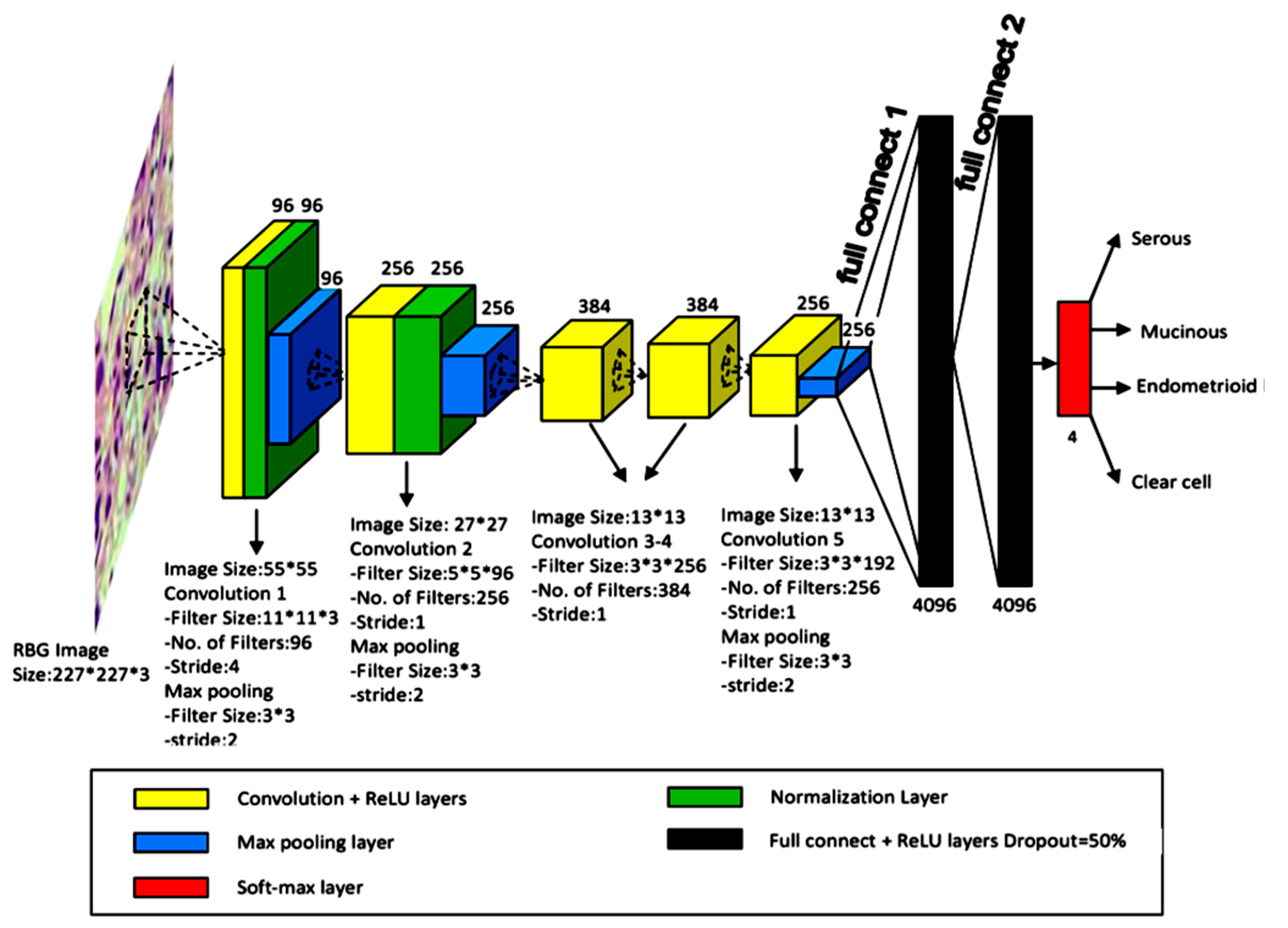 Cancers 14 03529 g006