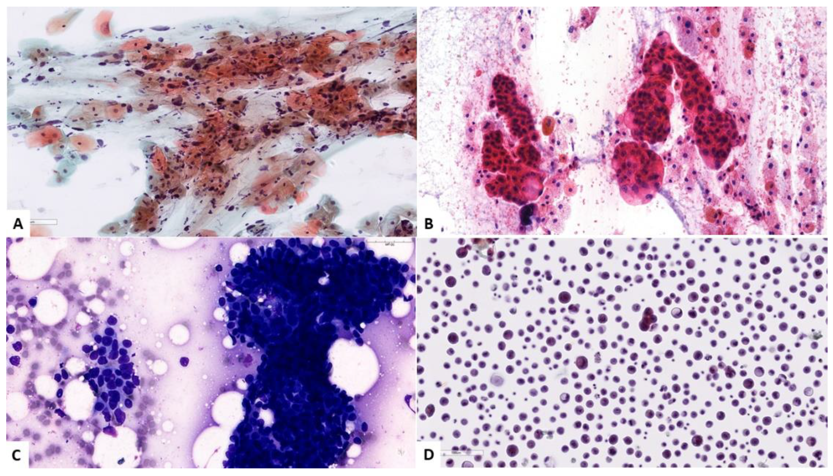 Cancers 14 03529 g007