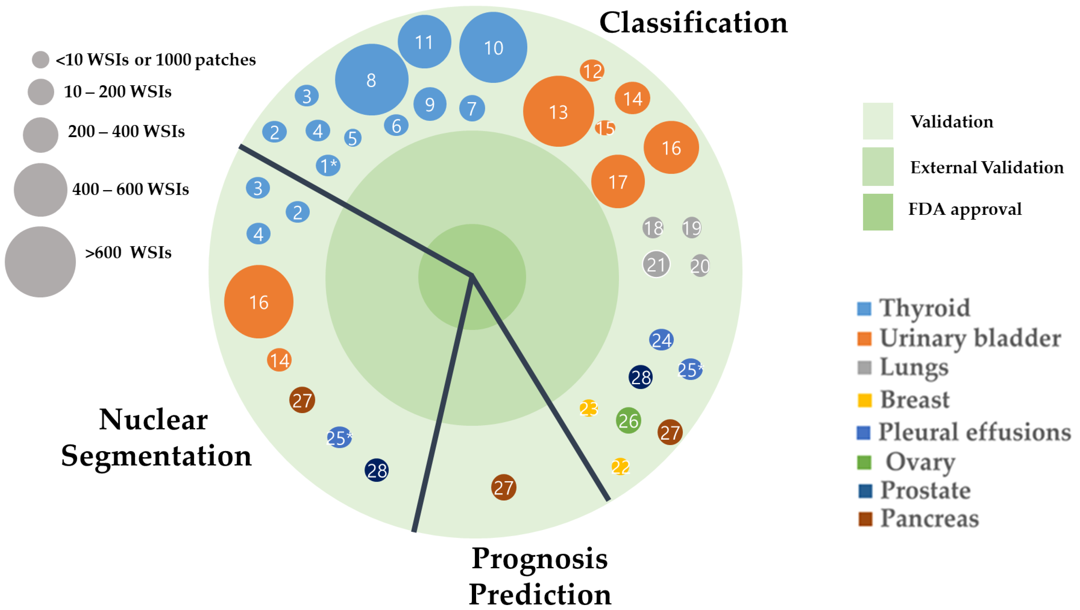 Cancers 14 03529 g008