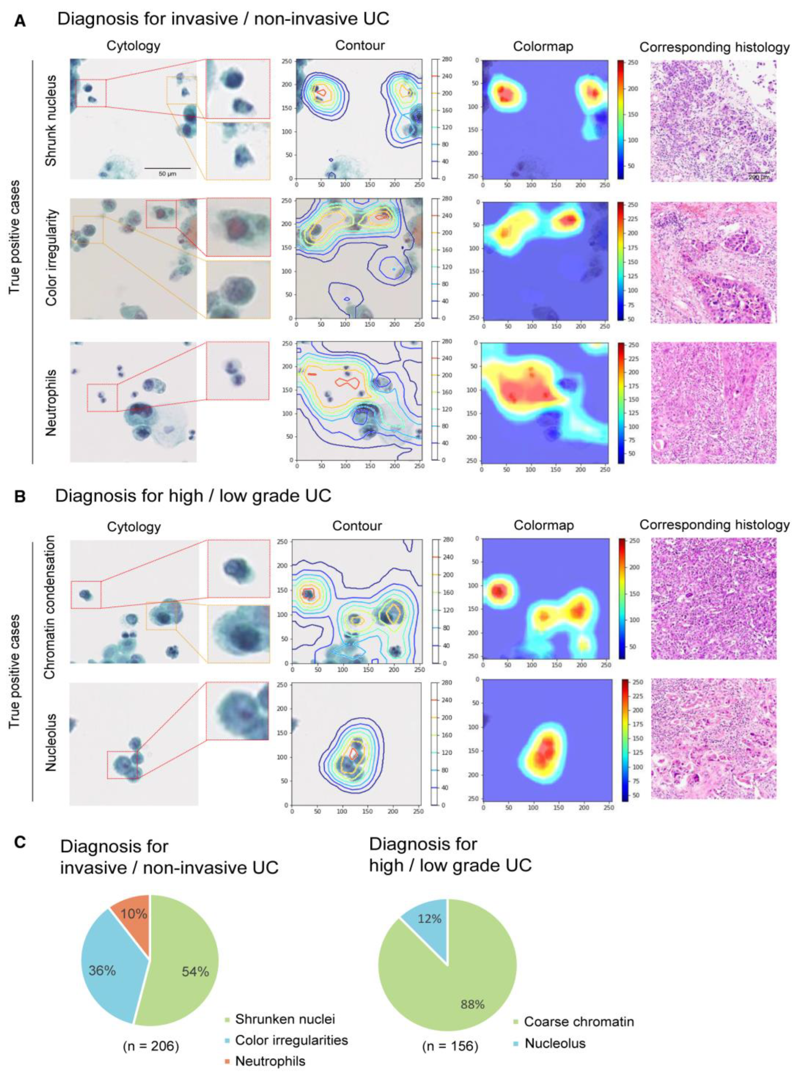 Cancers 14 03529 g009