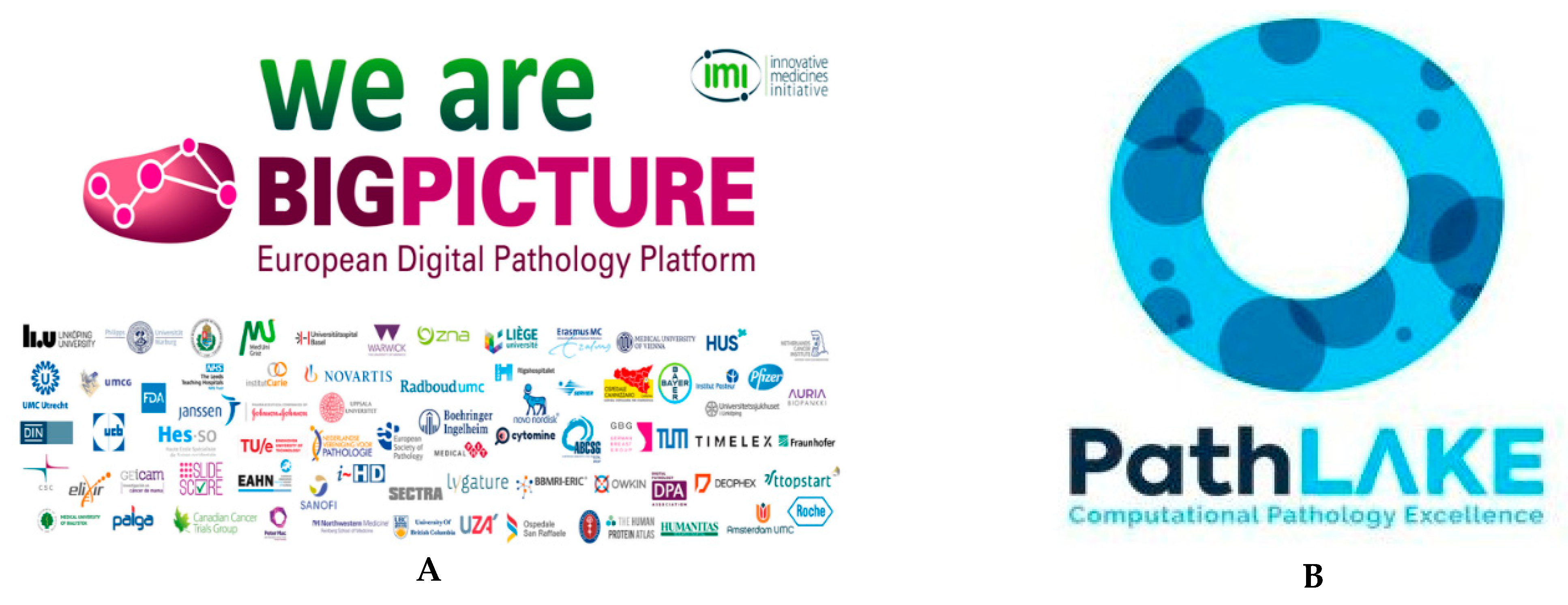 Cancers 14 03529 g011a