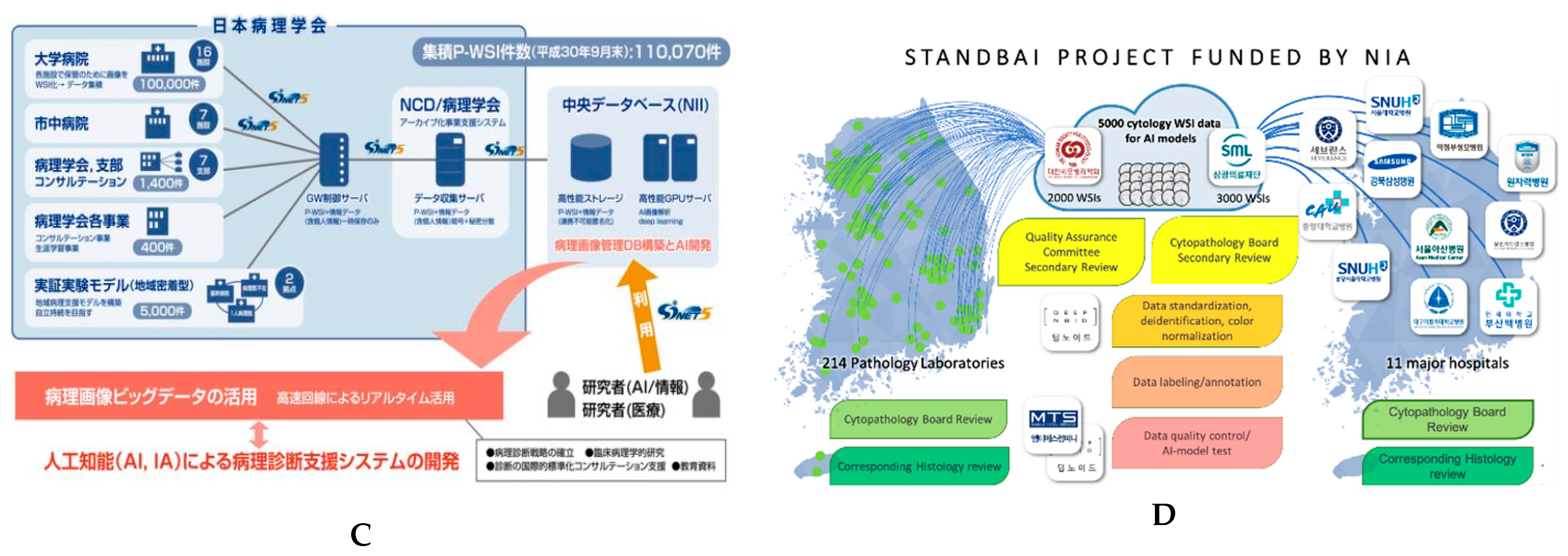 Cancers 14 03529 g011b