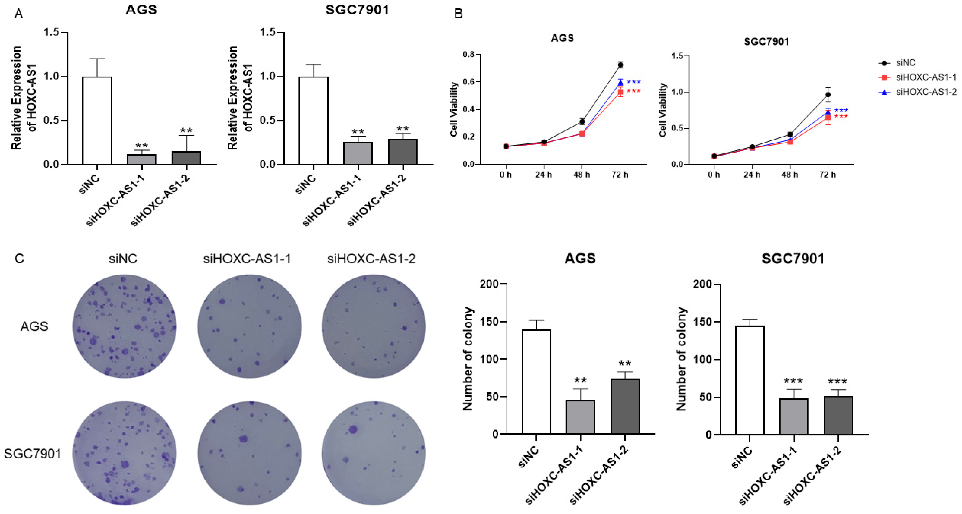 Cancers 14 03534 g002