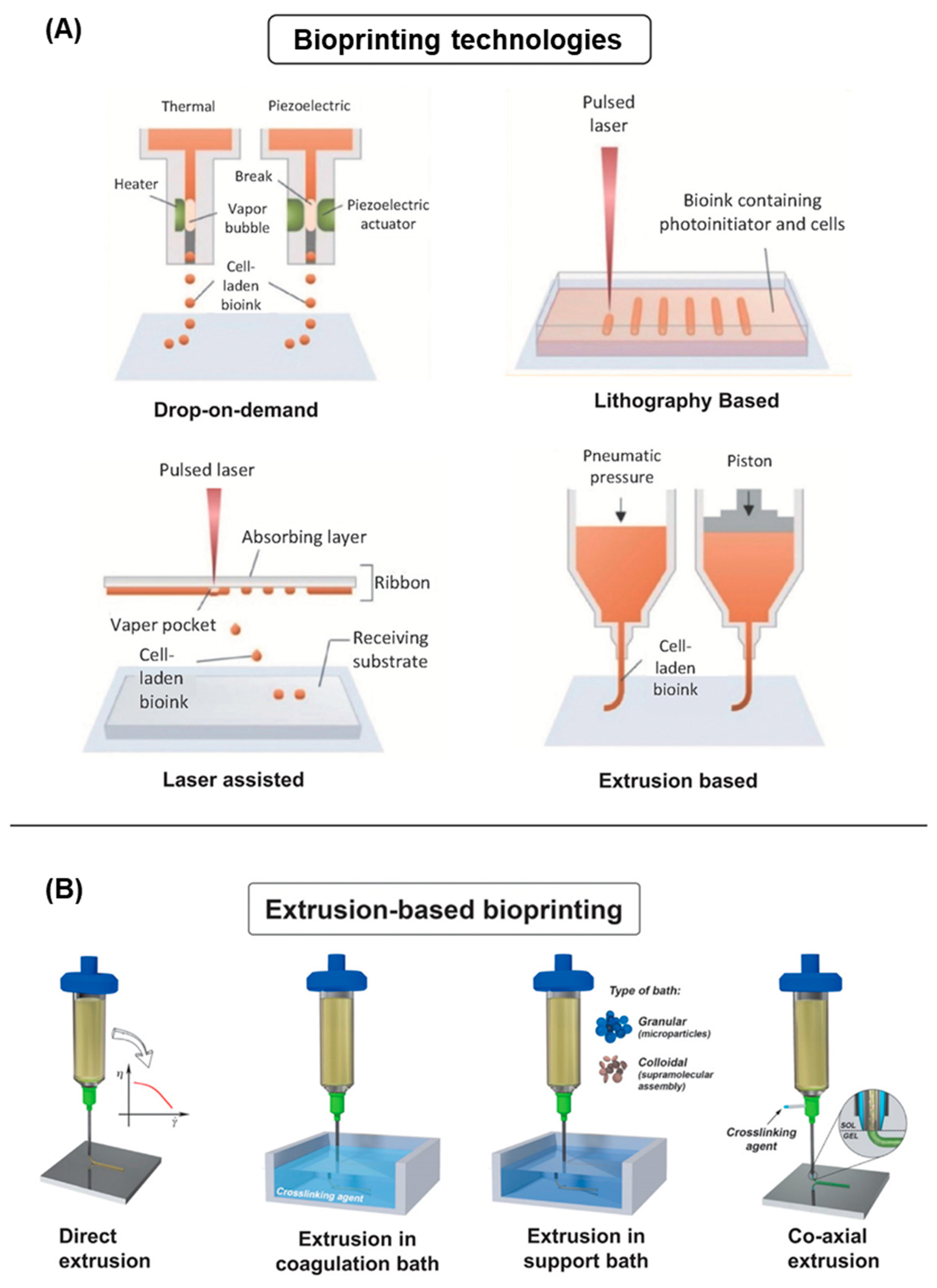Cancers 14 03535 g005