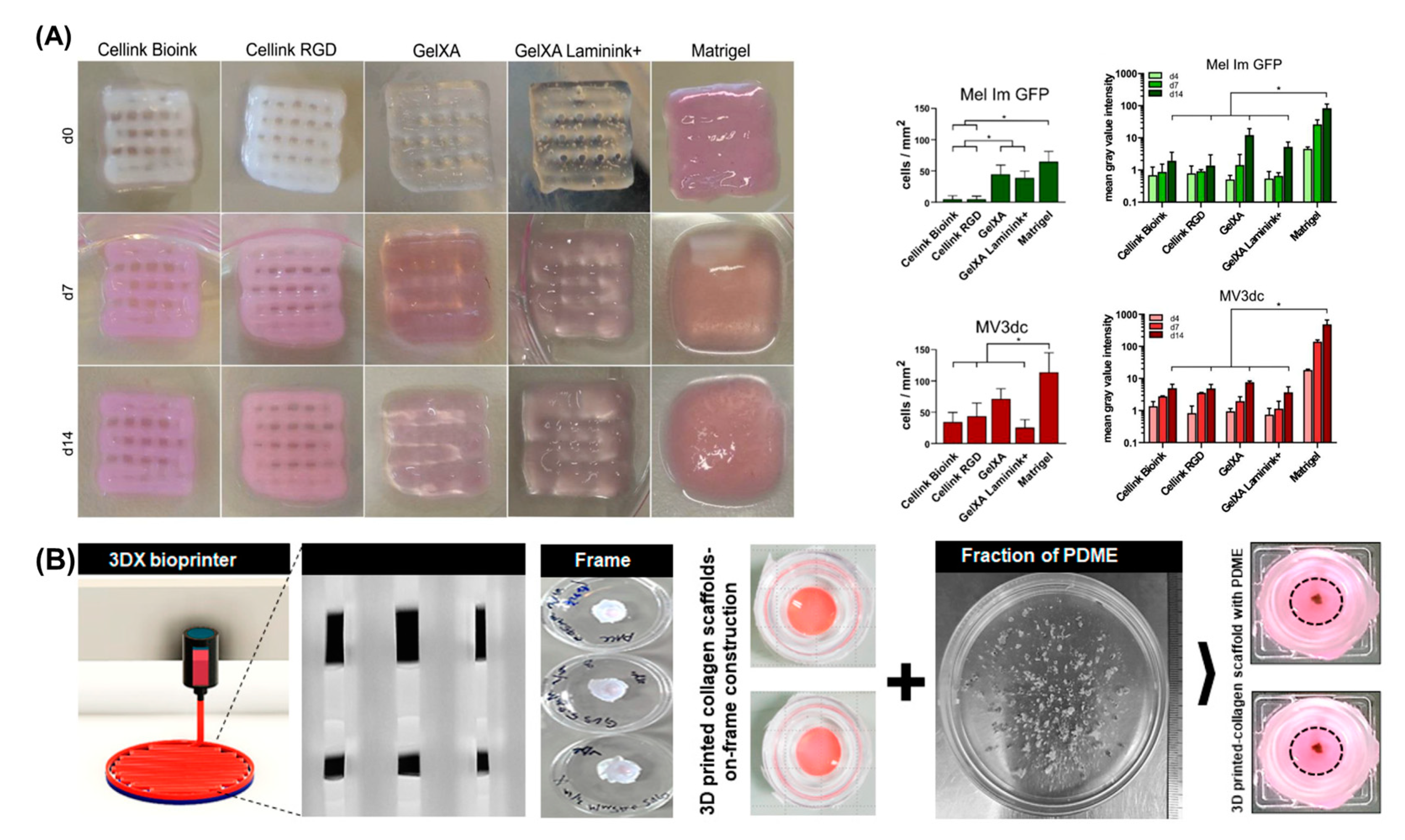 Cancers 14 03535 g007