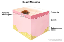 Cancers 14 03535 i001