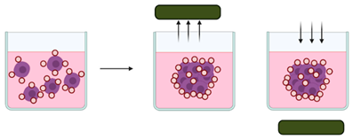 Cancers 14 03535 i007