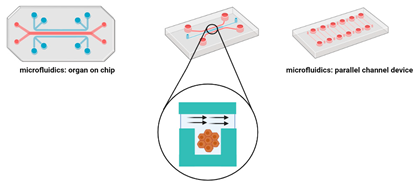 Cancers 14 03535 i009