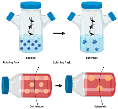 Cancers 14 03535 i011