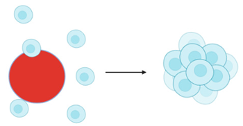 Cancers 14 03535 i012