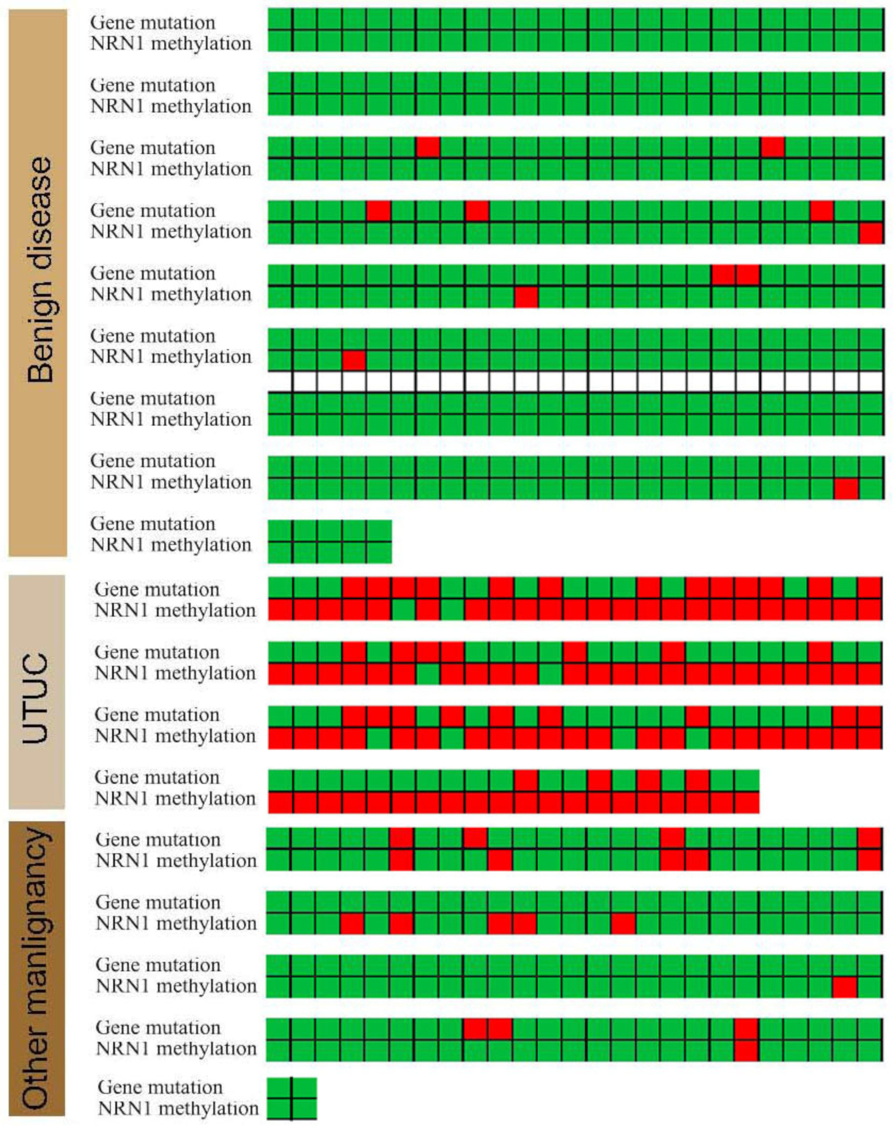 Cancers 14 03537 g002