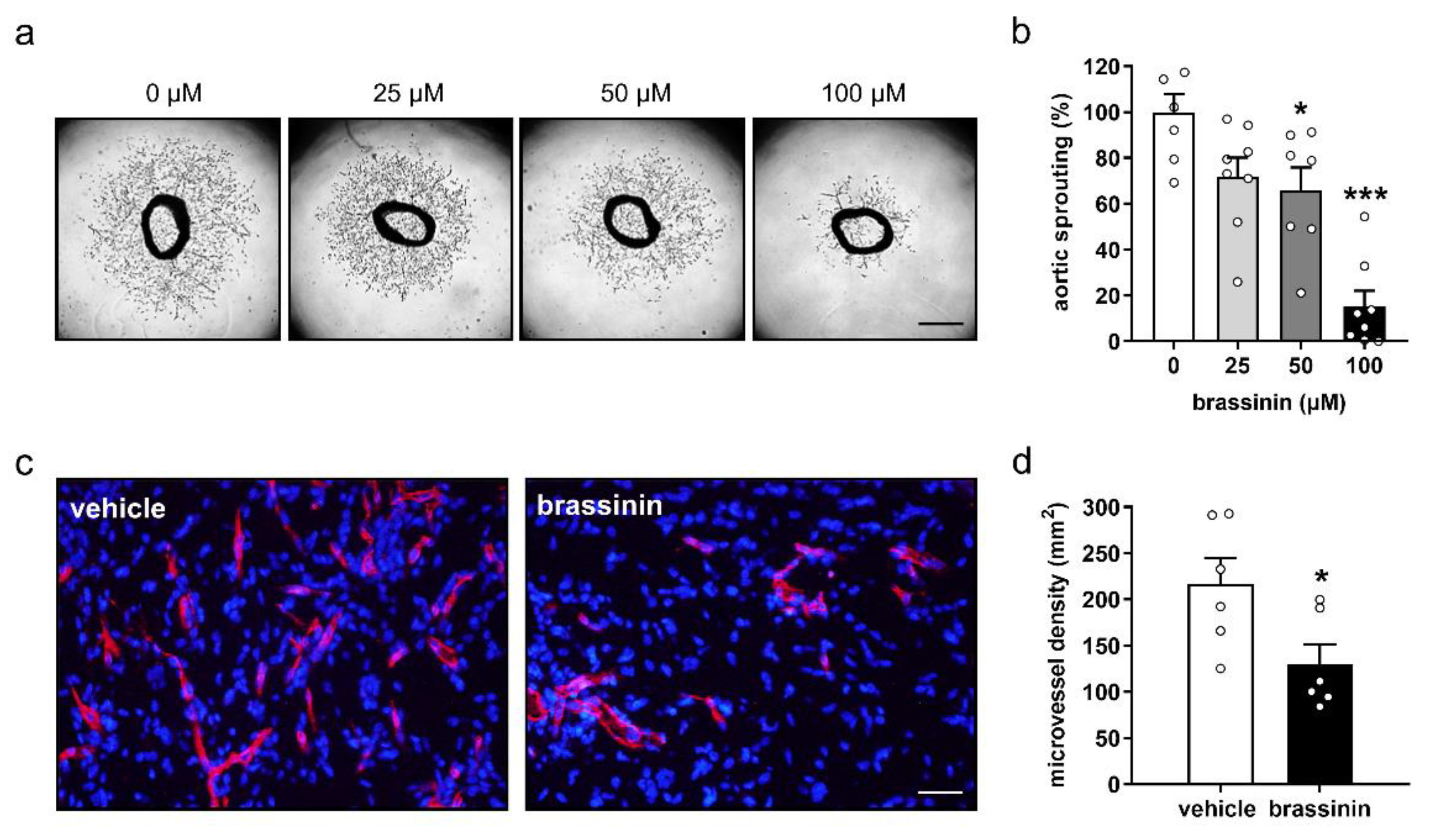 Cancers 14 03540 g002