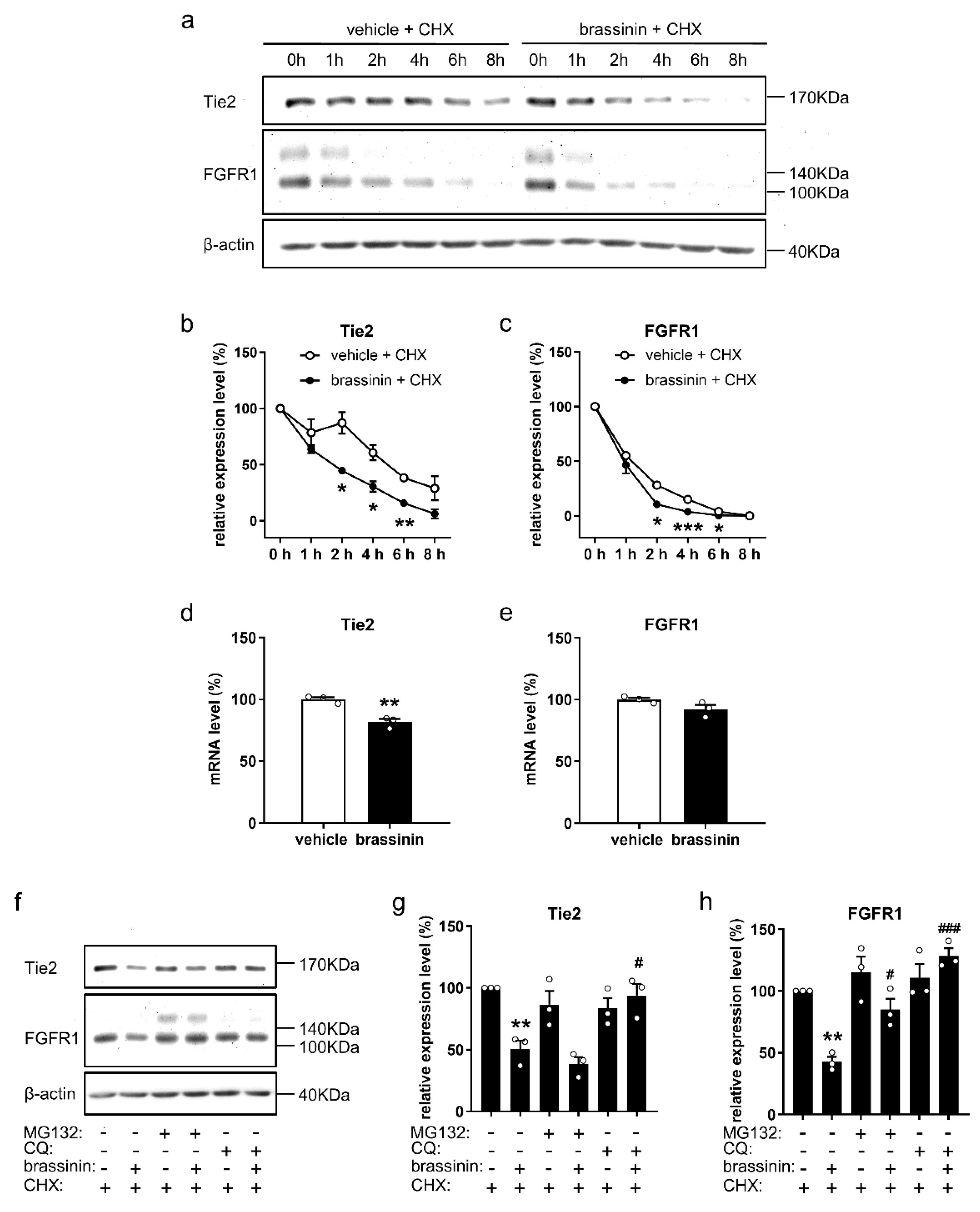 Cancers 14 03540 g006