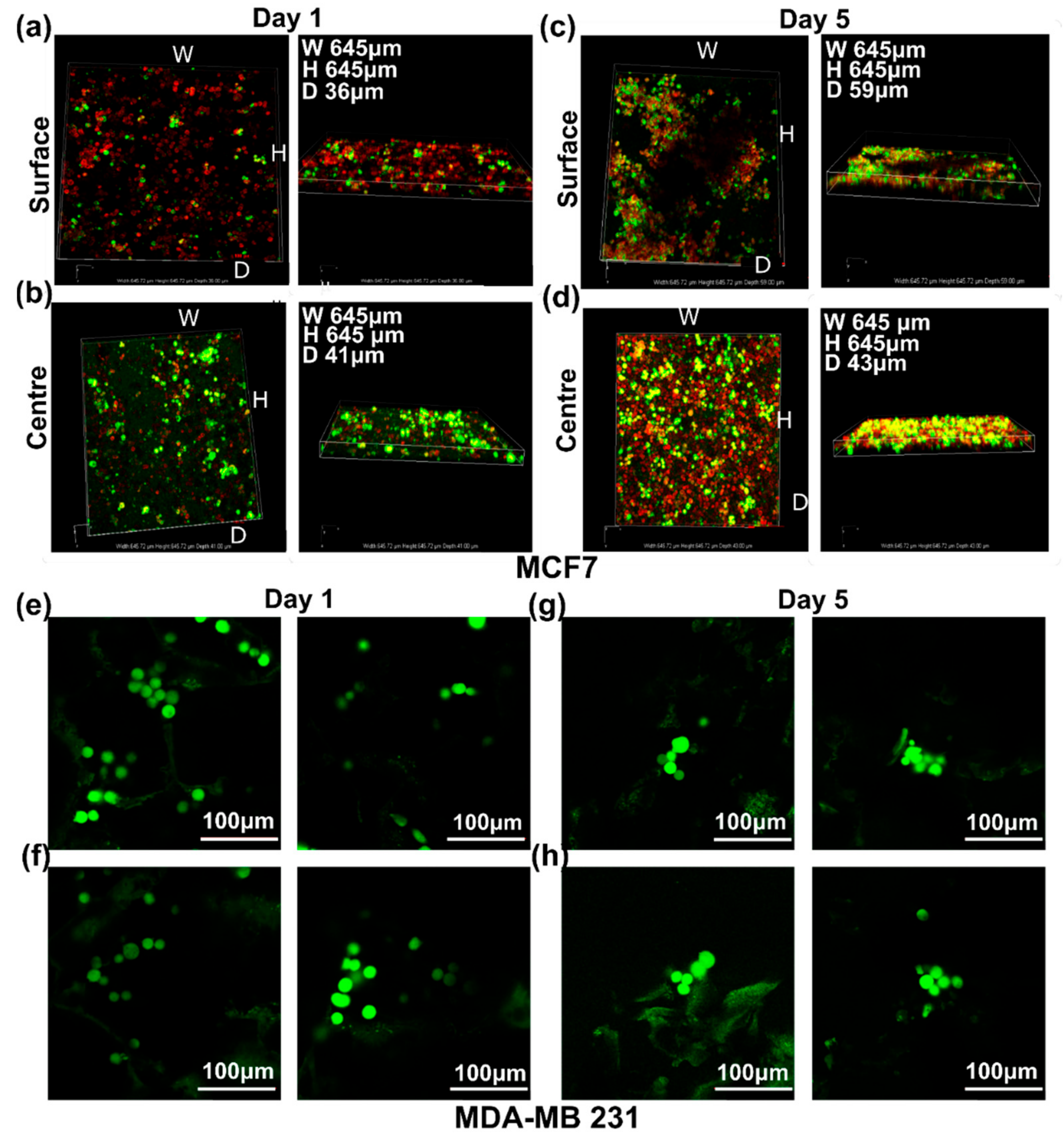 Cancers 14 03549 g005