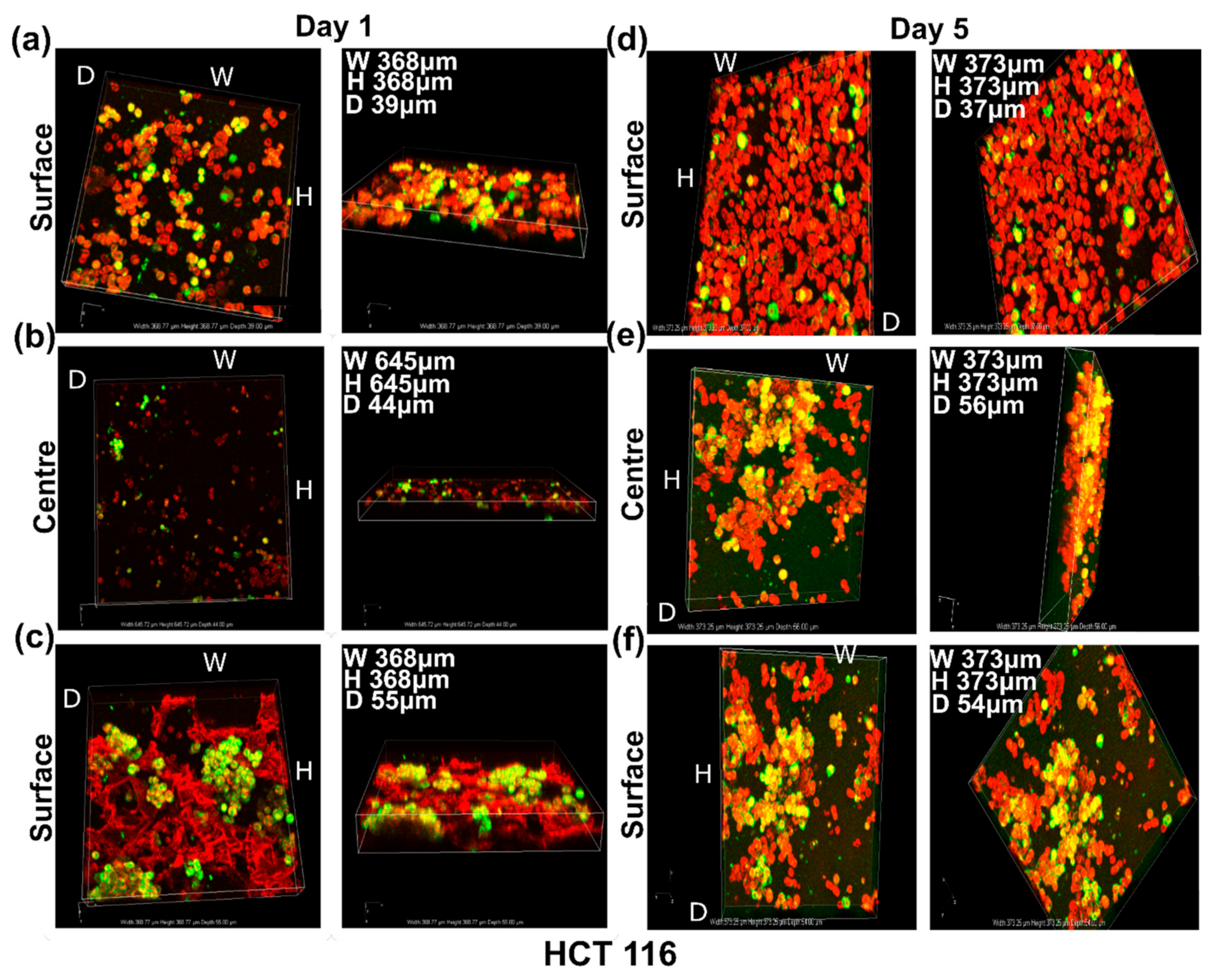 Cancers 14 03549 g007