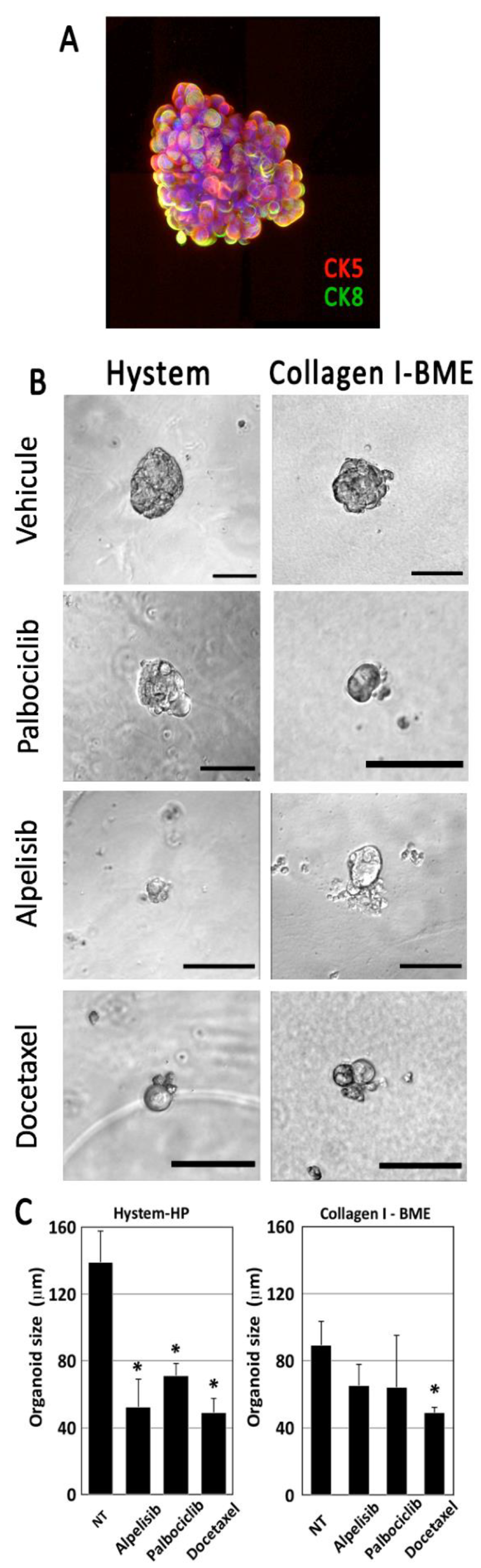 Cancers 14 03559 g005