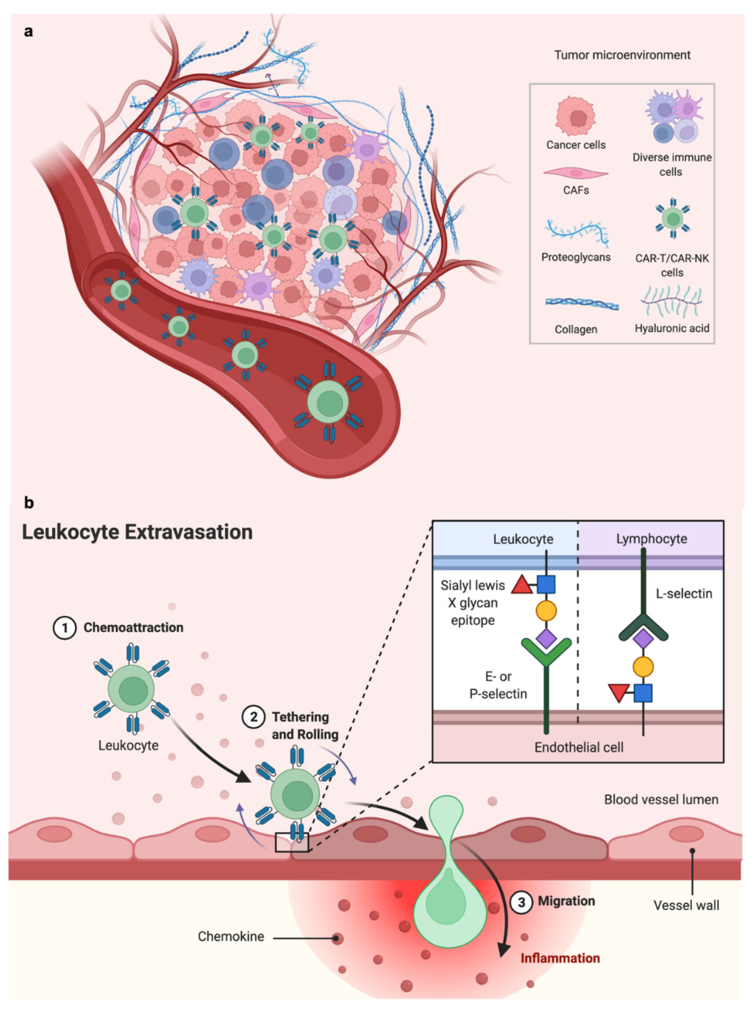 Cancers 14 03561 g002