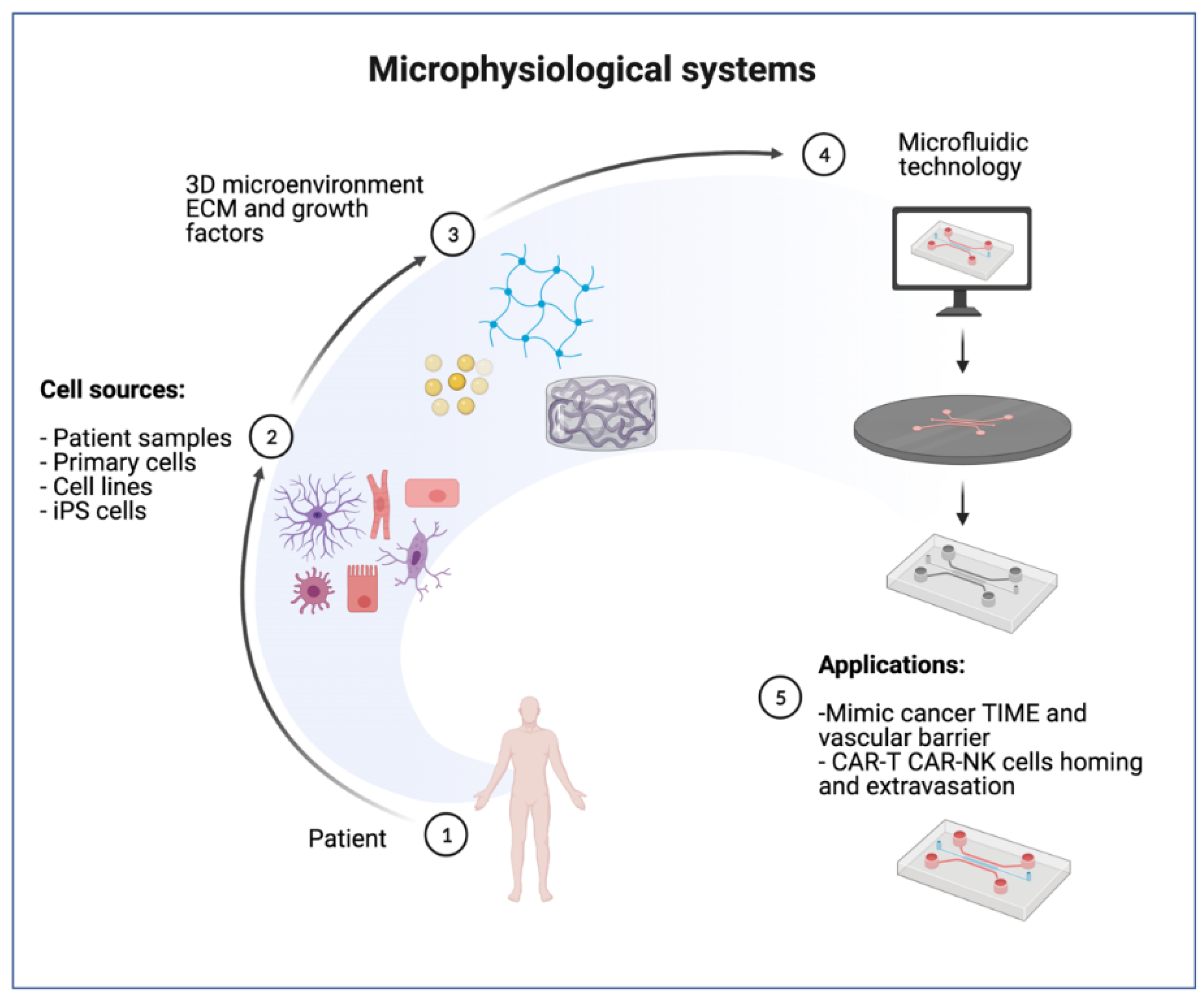 Cancers 14 03561 g004