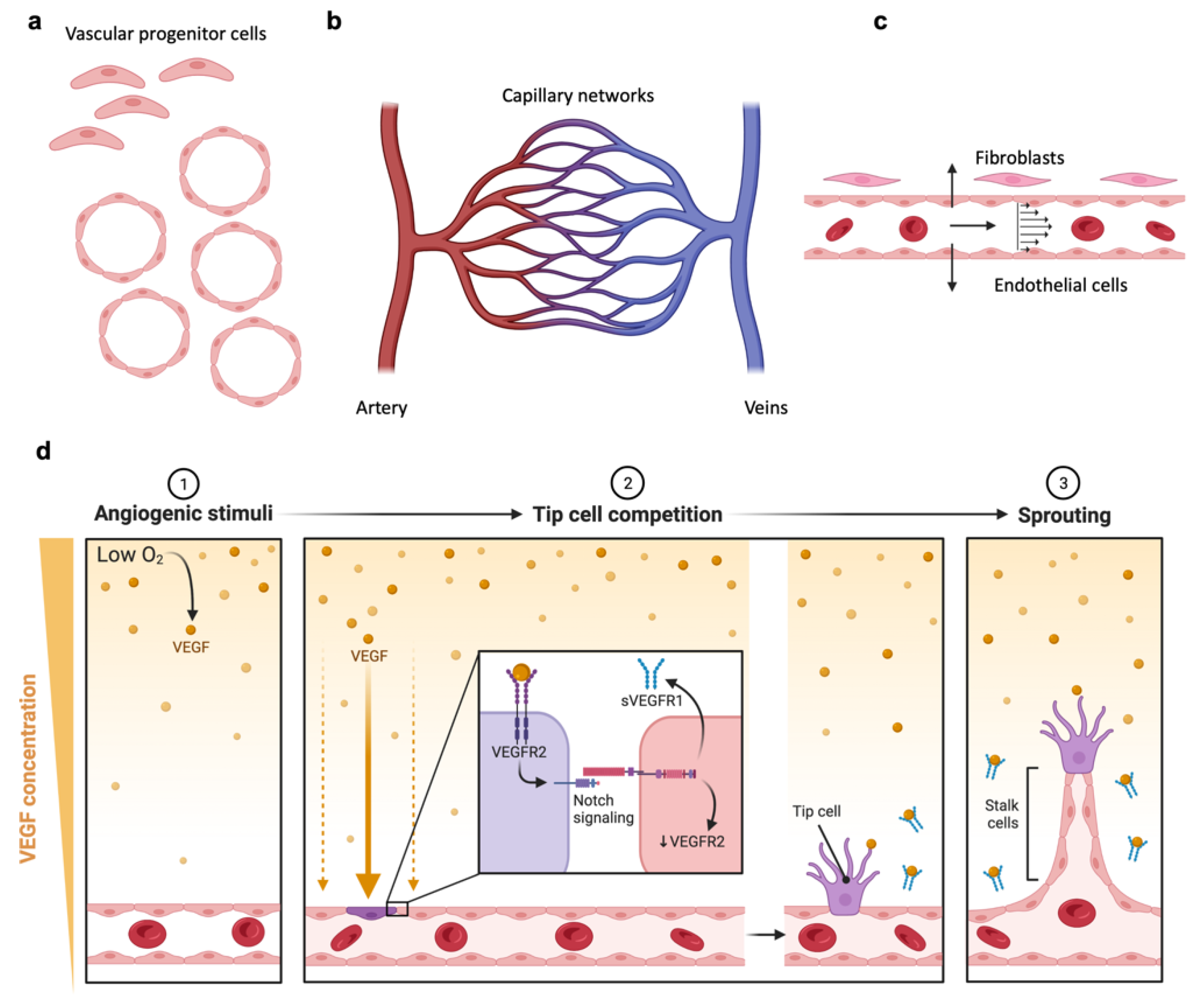 Cancers 14 03561 g006