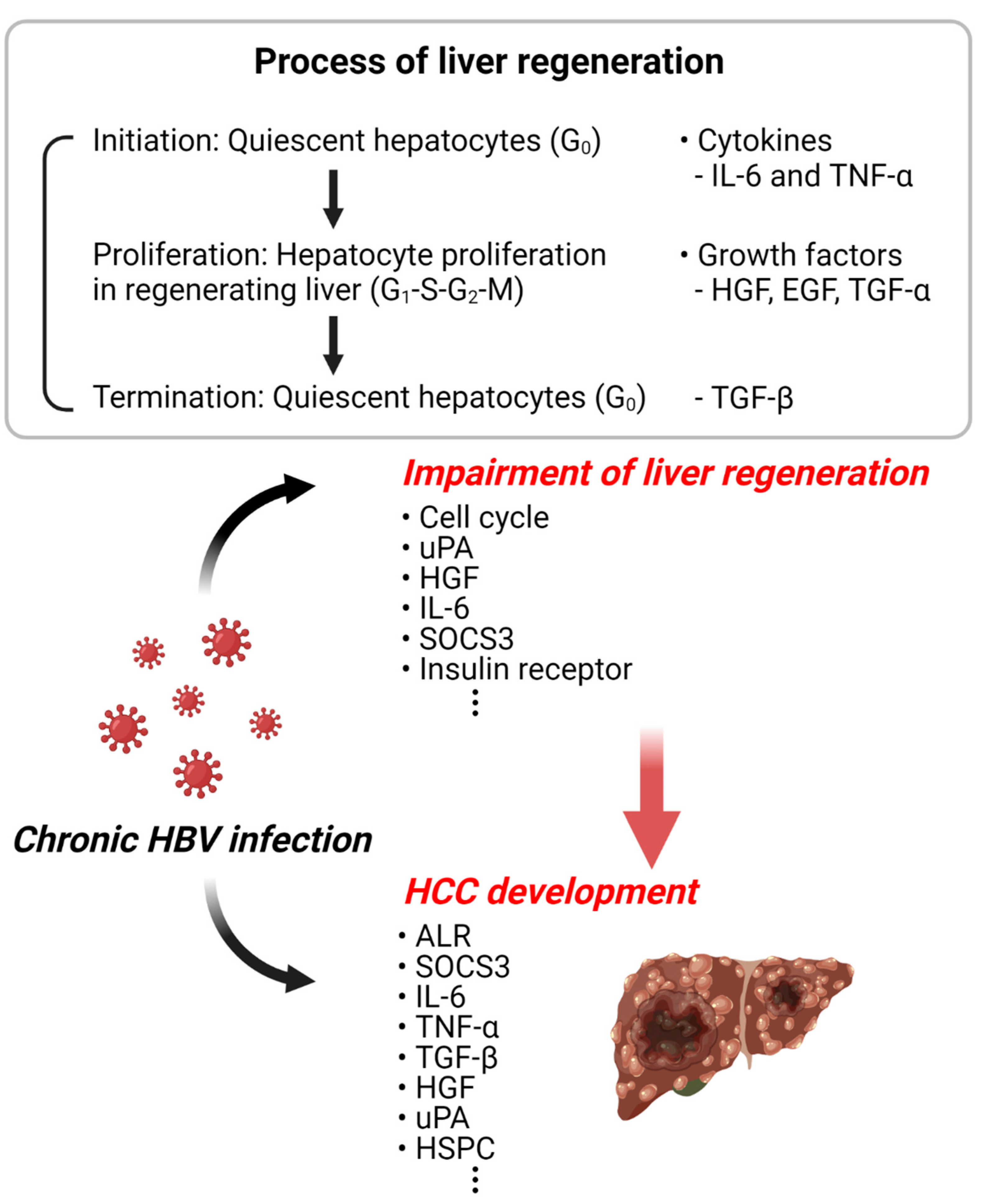 Cancers 14 03566 g002 Cancers 14 03566 g002
