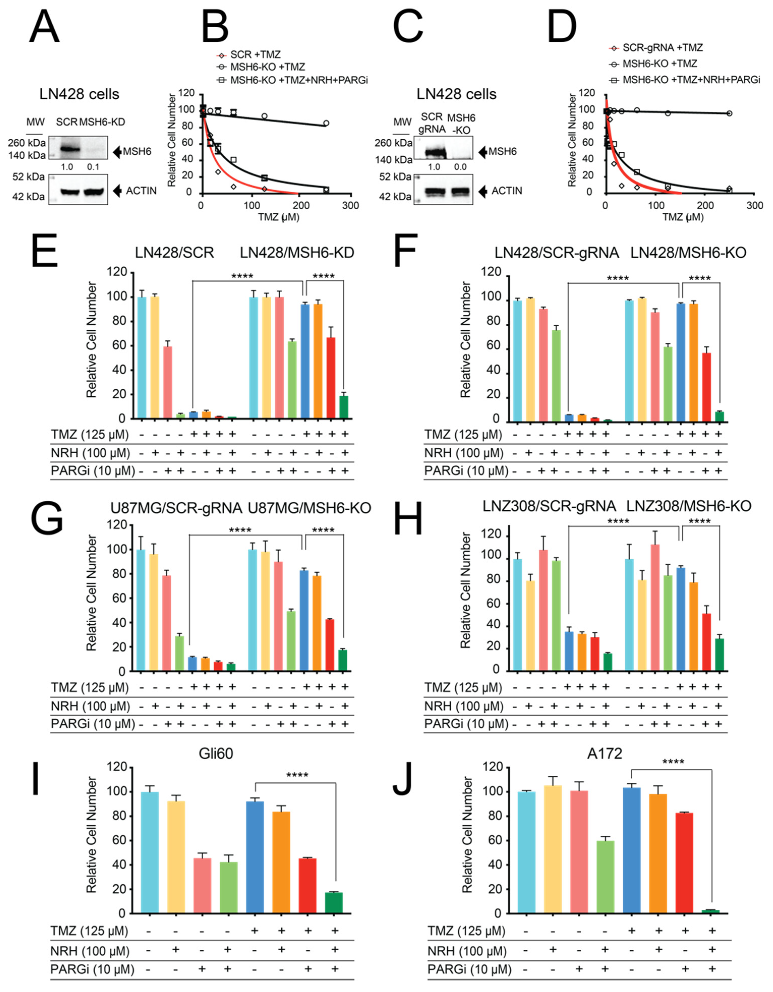 Overcoming Temozolomide Resistance in Glioblastoma via