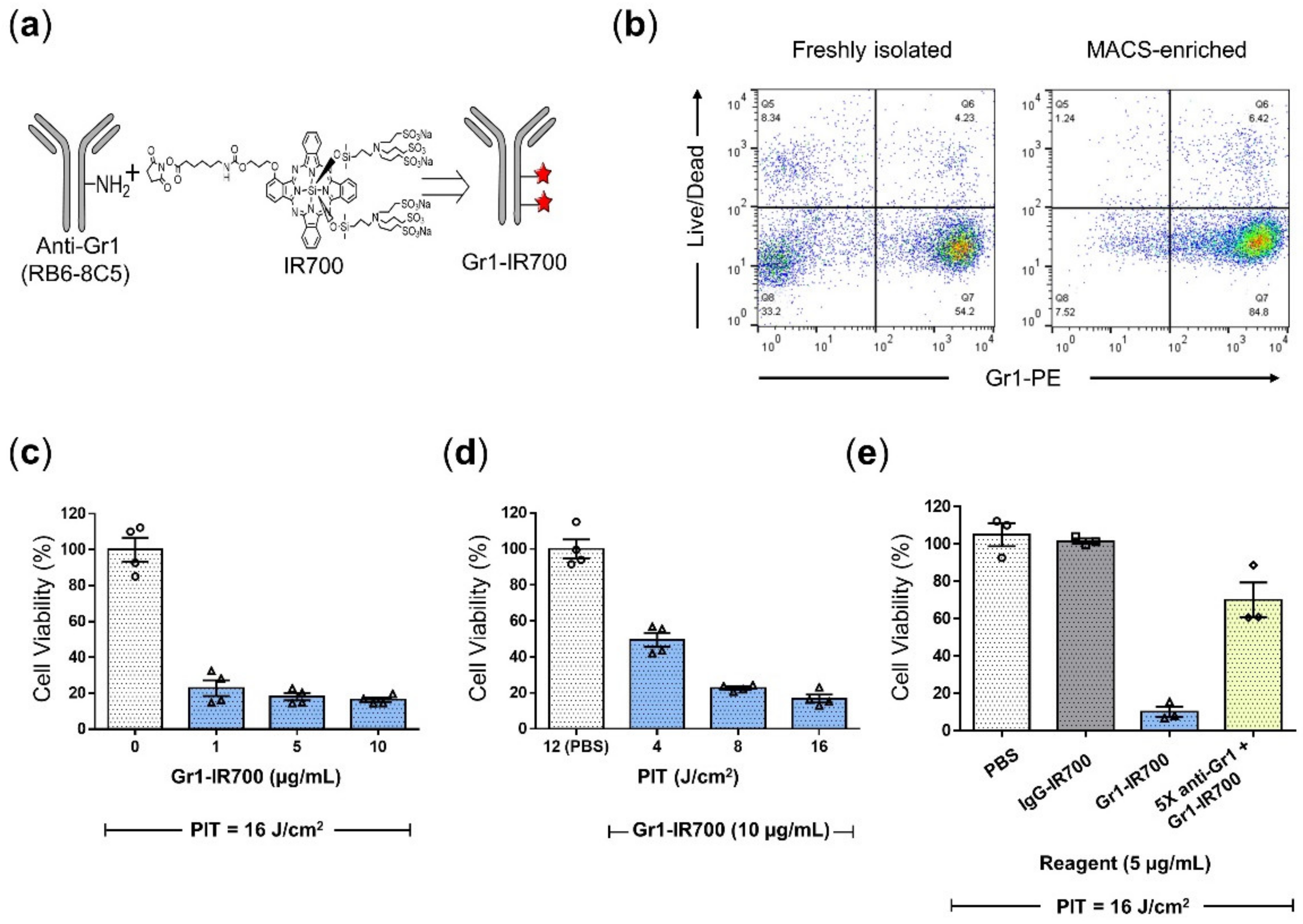 Cancers 14 03578 g002