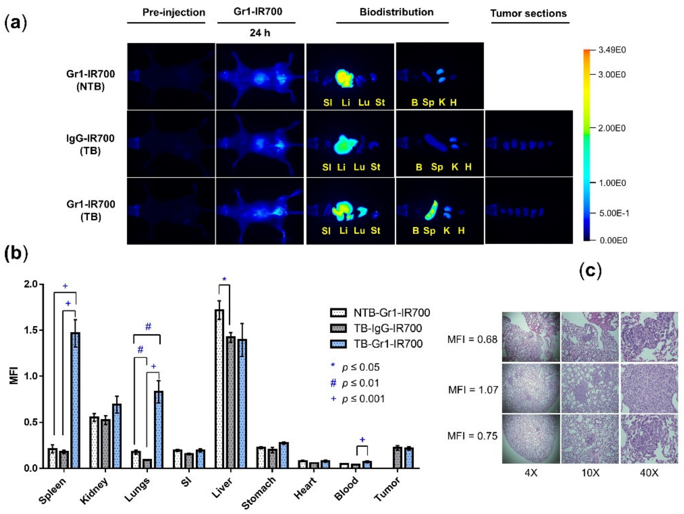 Cancers 14 03578 g003