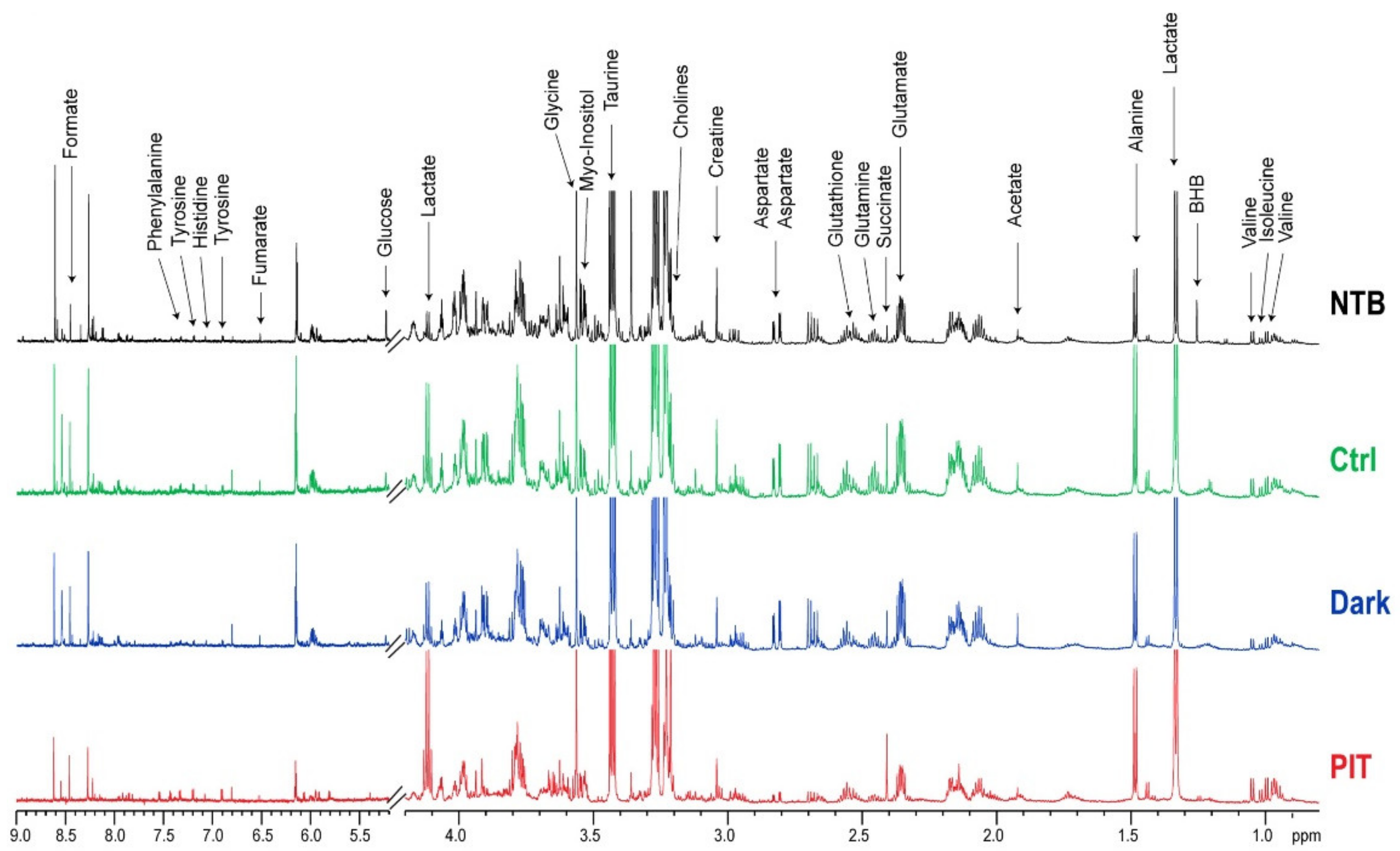 Cancers 14 03578 g005