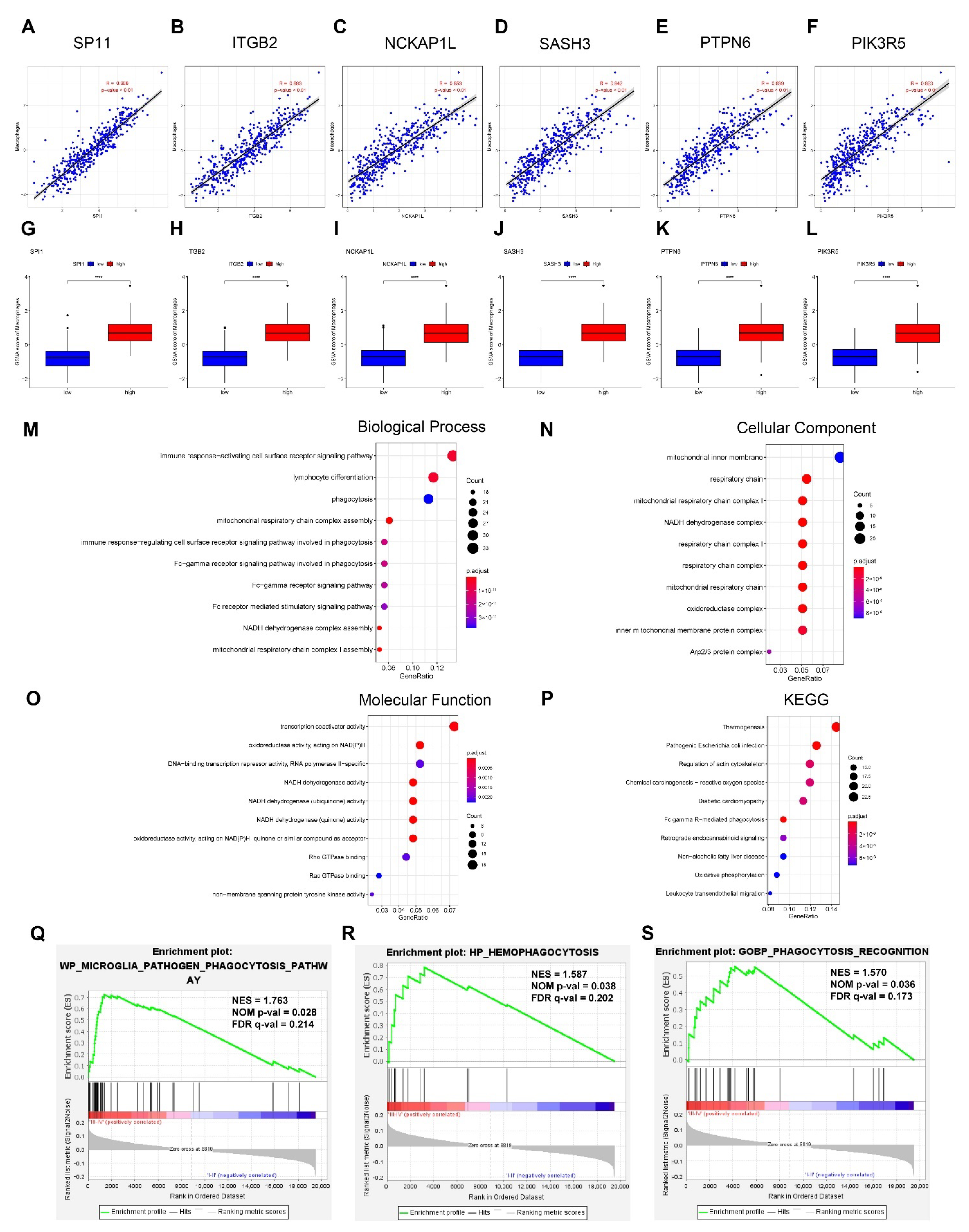Cancers 14 03582 g002