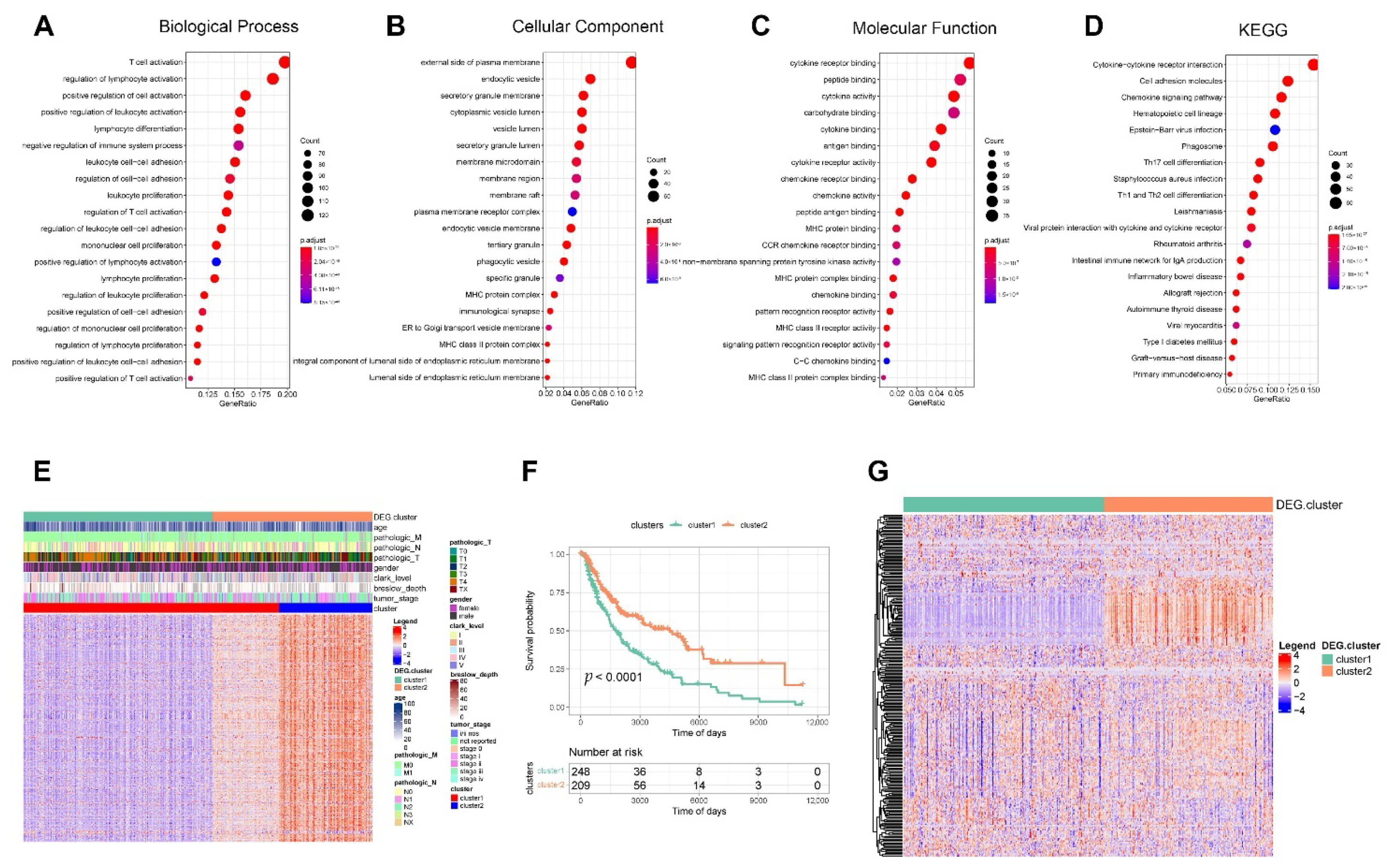Cancers 14 03582 g007