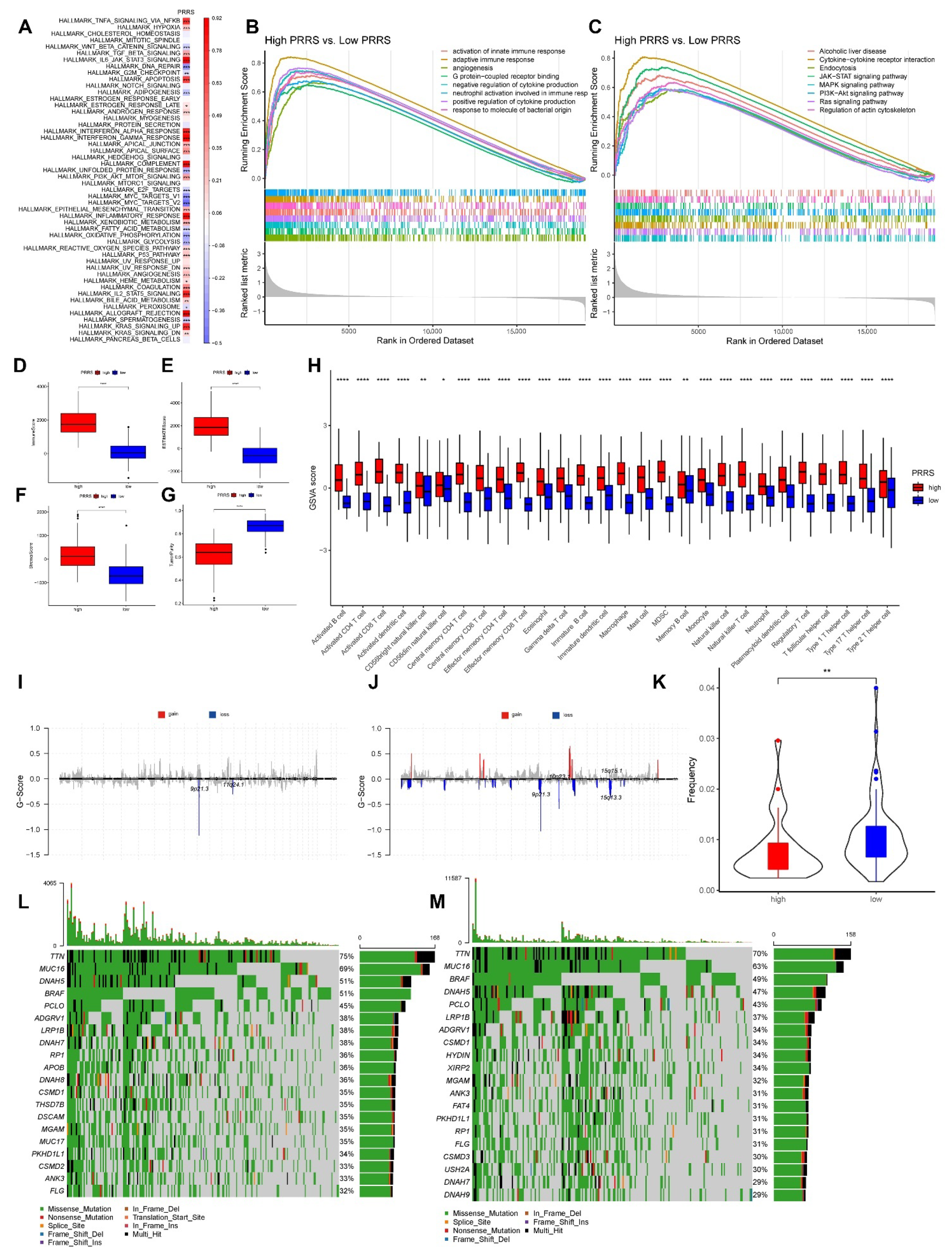 Cancers 14 03582 g010